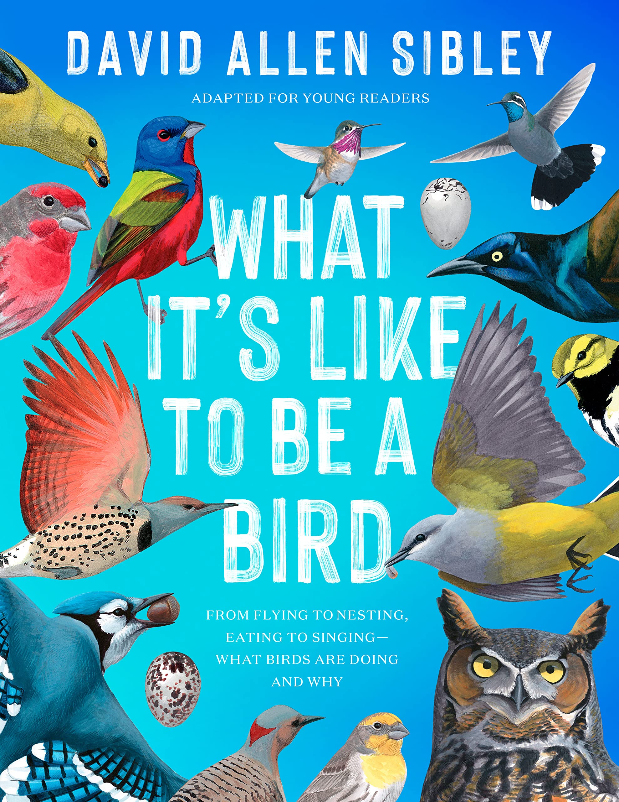 What Its Like to Be a Bird (Adapted for Young Readers): From Flying to Nesting, Eating to SingingWhat Birds Are Doing and Why