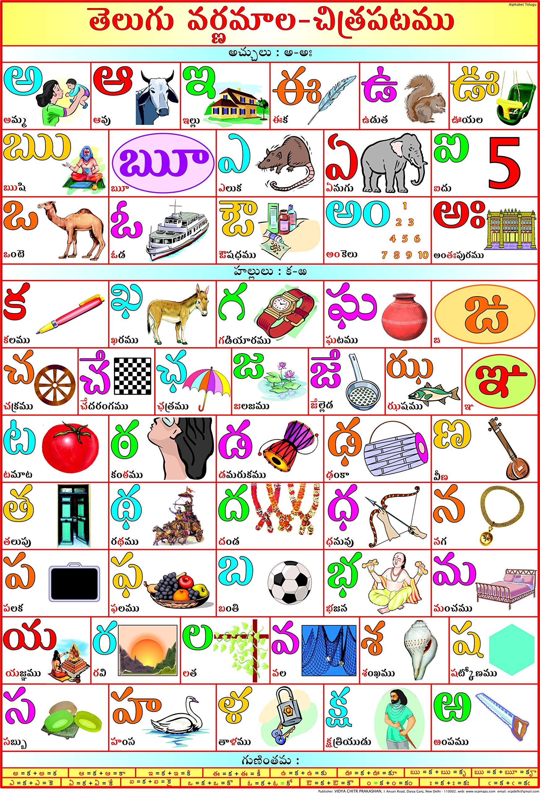 VCP Alphabet Telugu wall chart | 70 X 100 Cm | Laminated Polyester