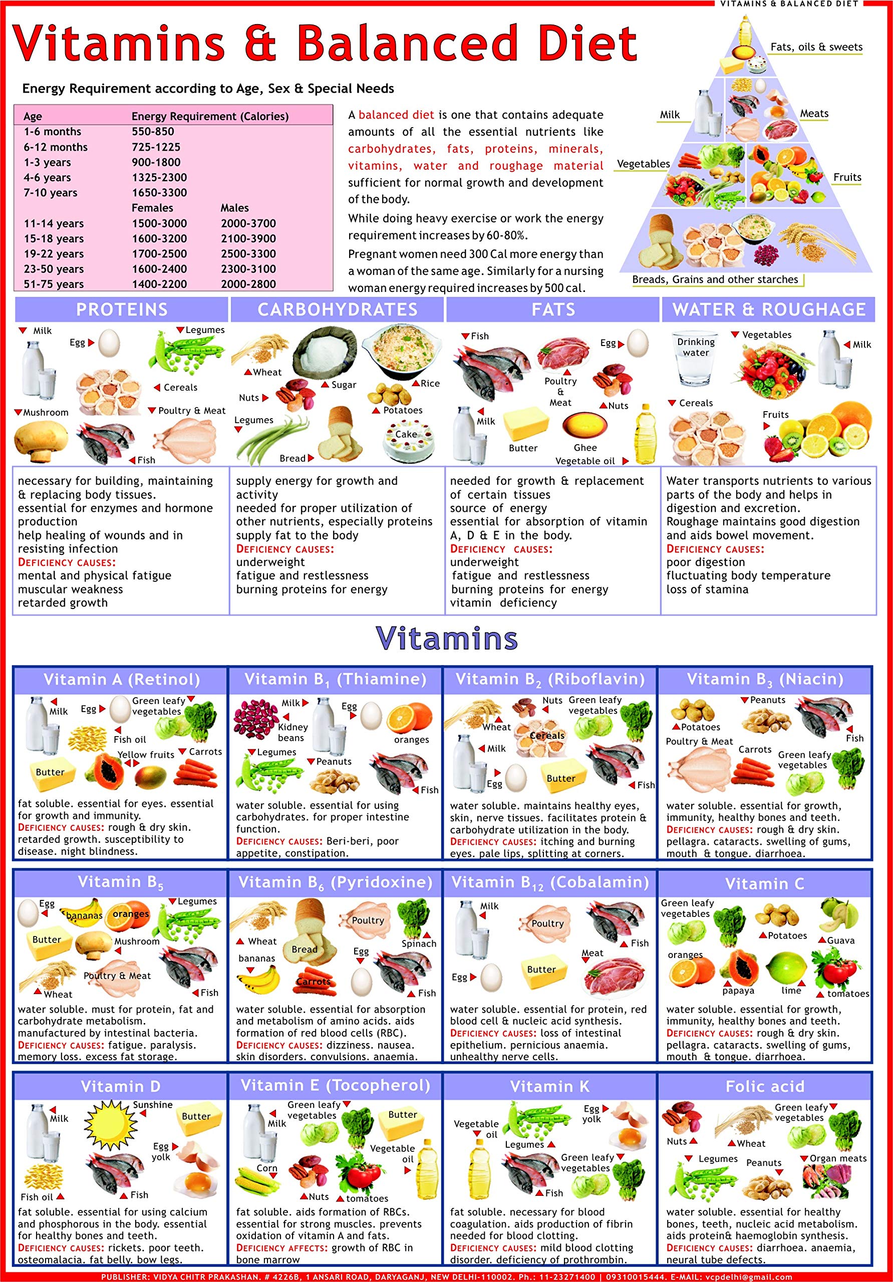 Balanced Diet & Vitamin Chart  Laminated ( 50 x 70 cm )