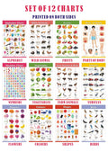 Vcp Early Learning Educational Chart Set For Kids | Set Of 12 Laminated Paper Charts (Printed On Both Sides) | NonTearable And 