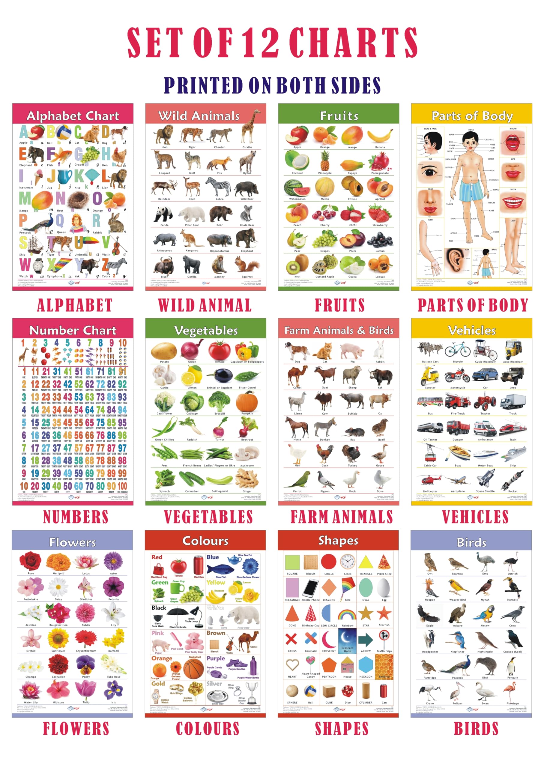 Vcp Early Learning Educational Chart Set For Kids | Set Of 12 Laminated Paper Charts (Printed On Both Sides) | NonTearable And 