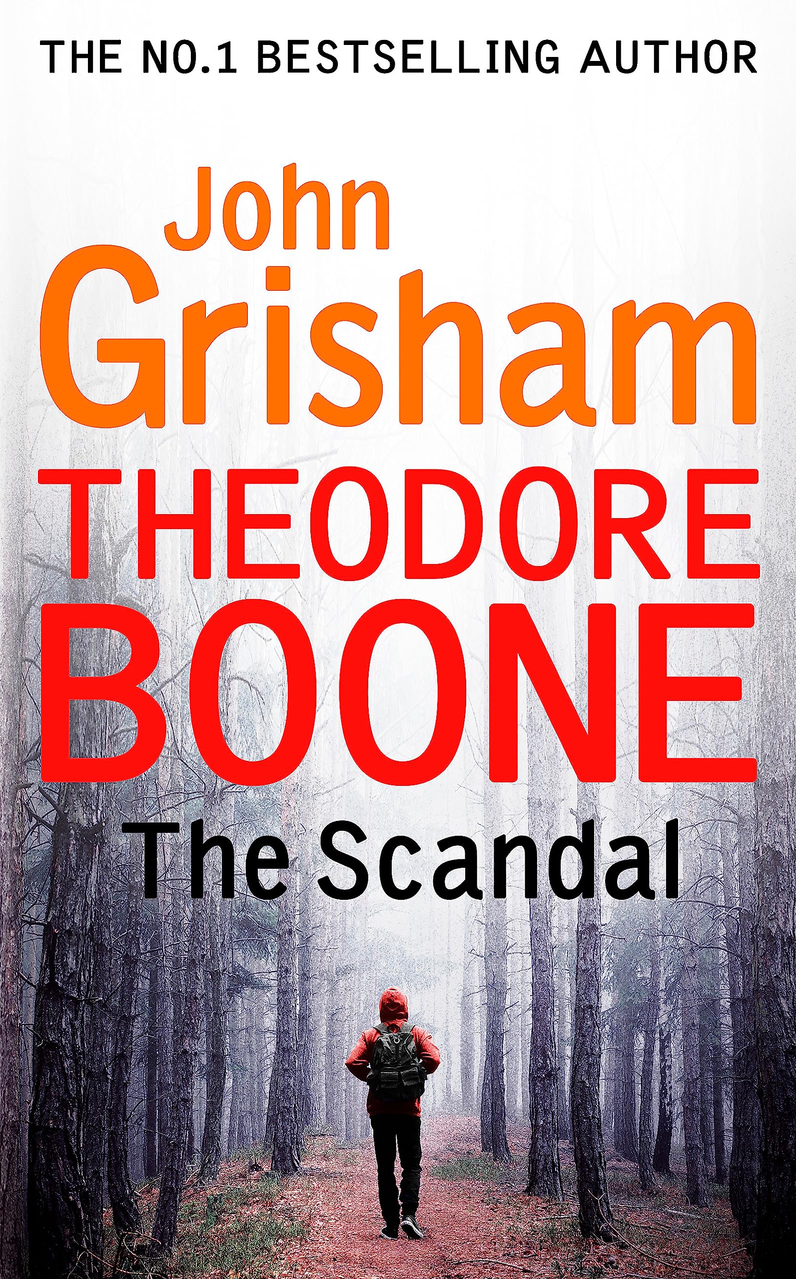 Theodore Boone The Scandal
