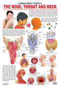 Nose, Throat & Neck Laminated Educational Wall Chart | Kids Learning Poster | Colourful Illustrations, BothSide Laminated, Tear
