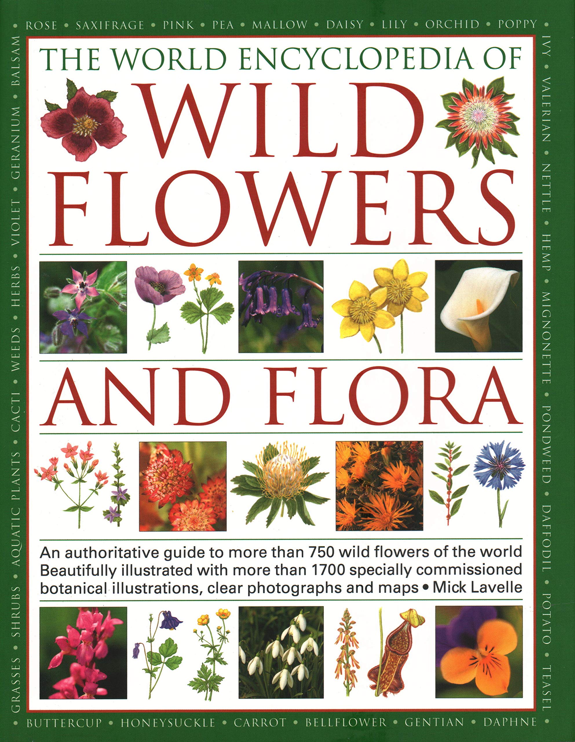 The World Encyclopedia of Wild Flowers & Flora: An Authoritative Guide to More Than 750 Wild Flowers of the World. Beautifully I