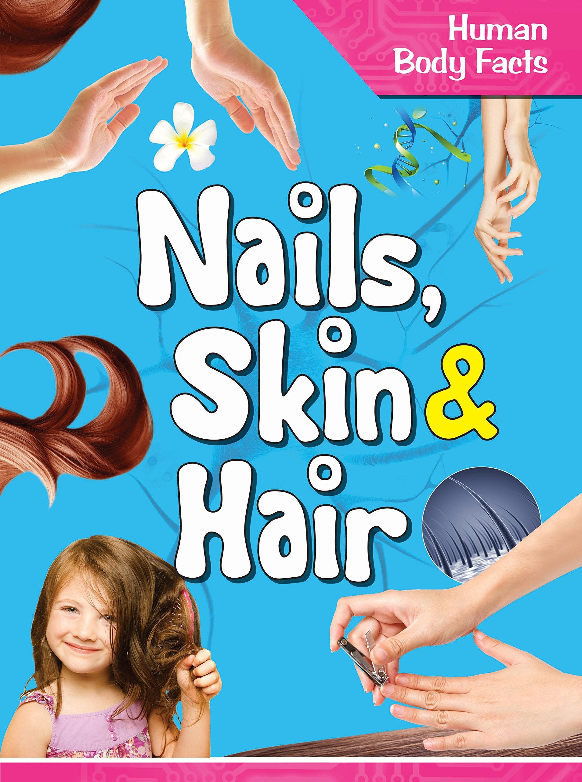 Human Body: Nails, Skin & Hair Human Body Facts