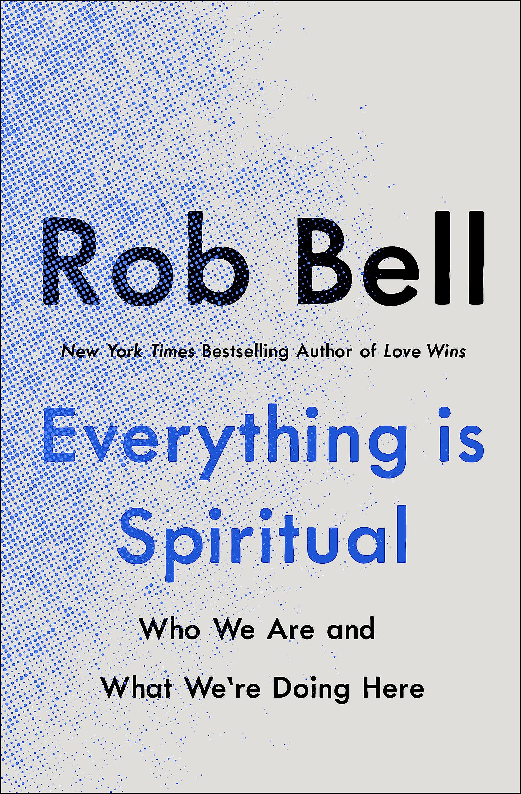 EVERYTHING IS SPIRITUAL: A BRIEF GUIDE TO WHO WE ARE AND WHAT WERE DOING HERE