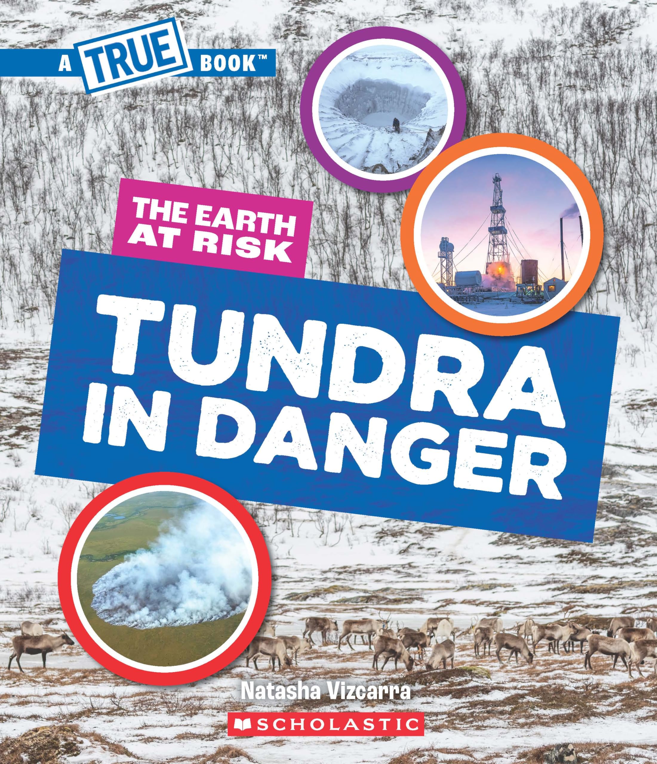 A True Book  The Earth at Risk: Tundra in Danger