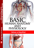 Basic Human Anatomy and Physiology
