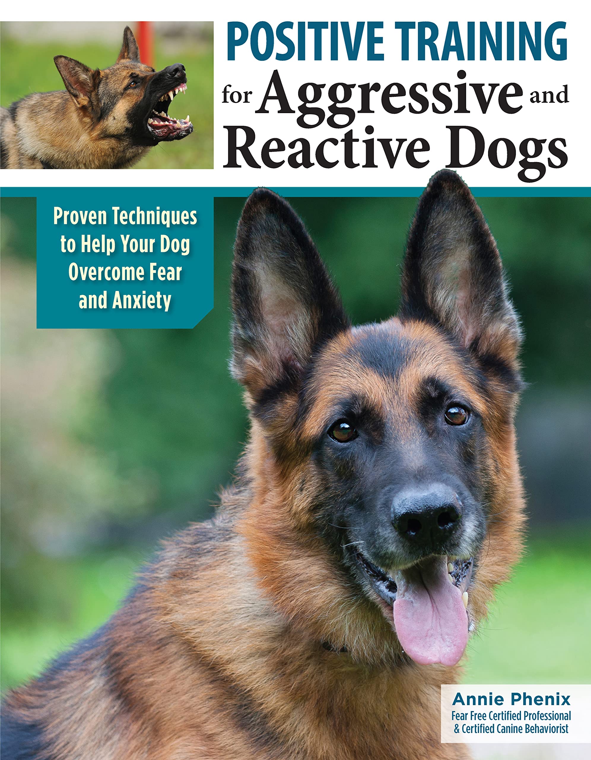 Positive Training for Aggressive and Reactive Dogs: Proven Techniques to Help Your Dog Overcome Fear and Anxiety (CompanionHouse