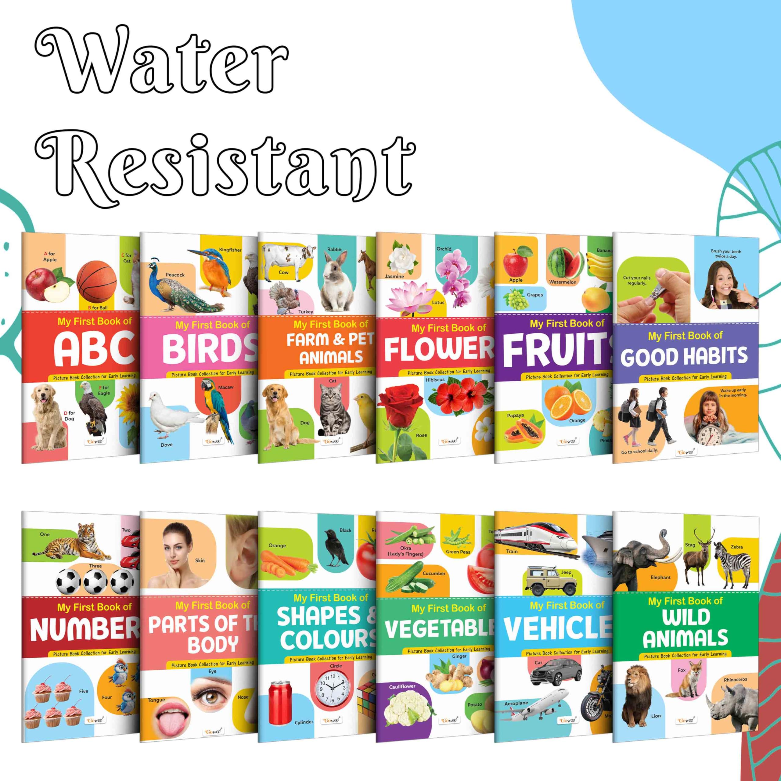 Ukg Class Picture Book With 12 Topics : ABC, Numbers, Fruits, Birds, Flowers, Farm & Pet Animals, Wild Animals, Parts of the Bod