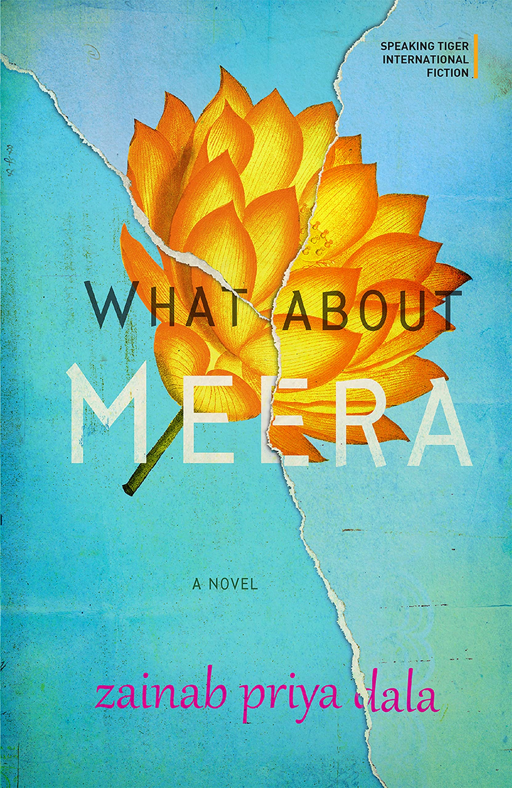 WHAT ABOUT MEERA : A NOVEL