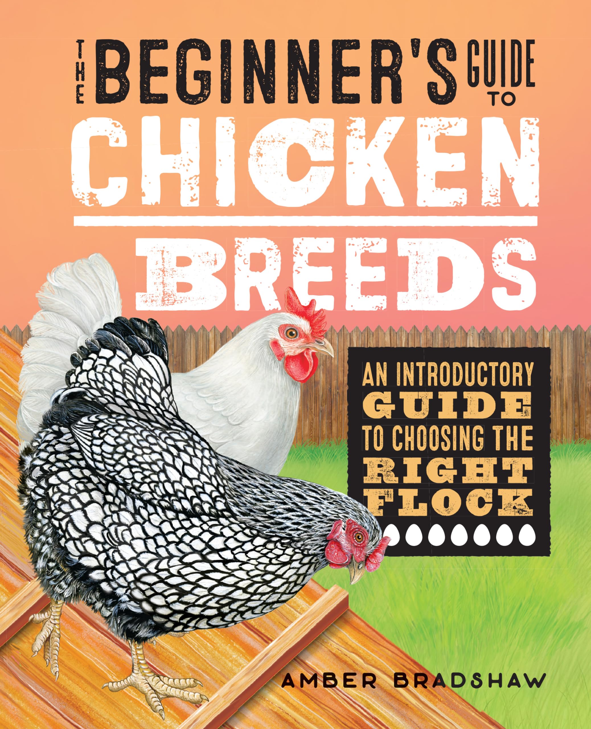 The Beginners Guide to Chicken Breeds: An Introductory Guide to Choosing the Right Flock