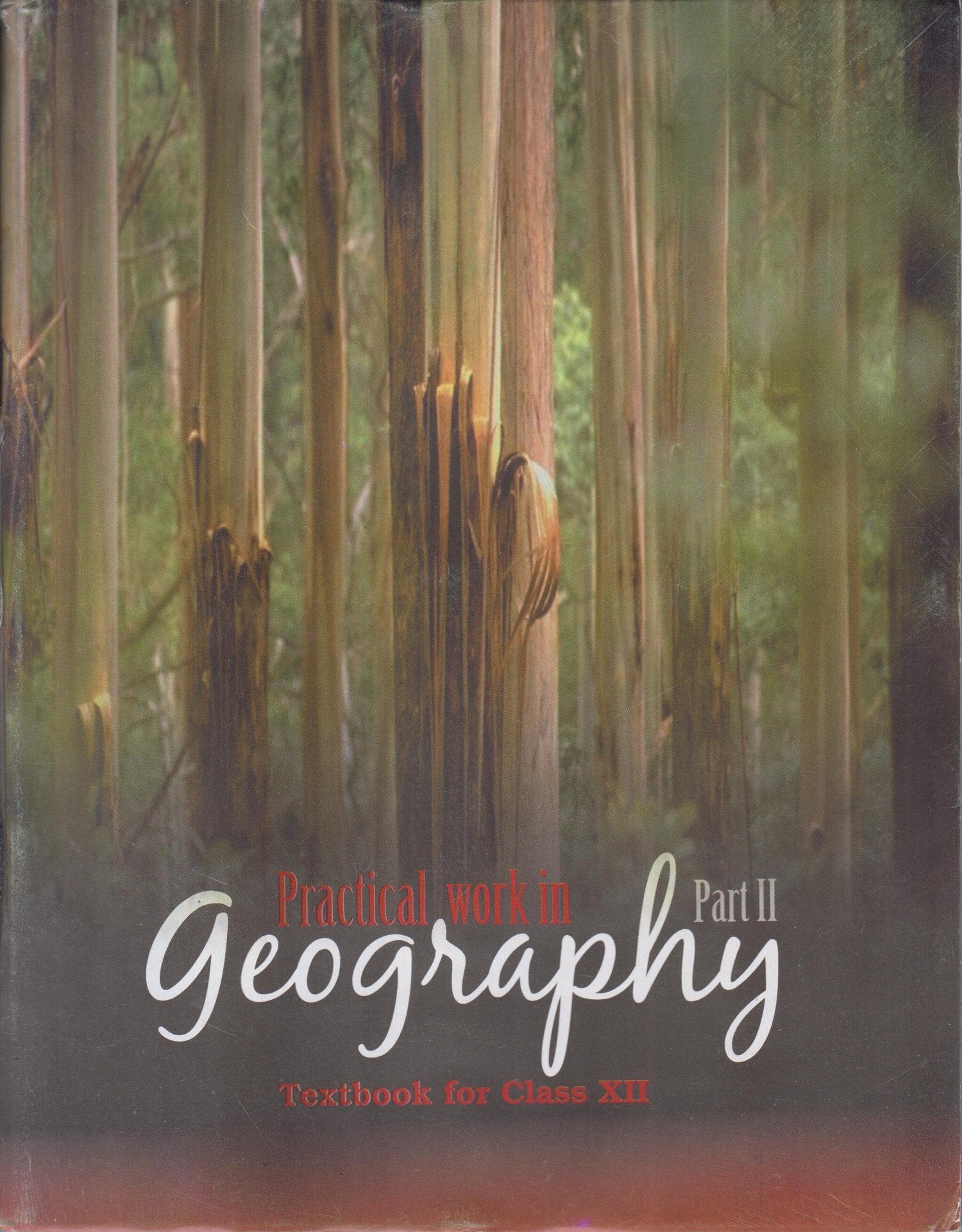 Practical Work In Geogrophy For Class  12  12101 202526 Edition
