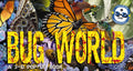 Bug World: A 3D PopUp Book (PopUp World!)