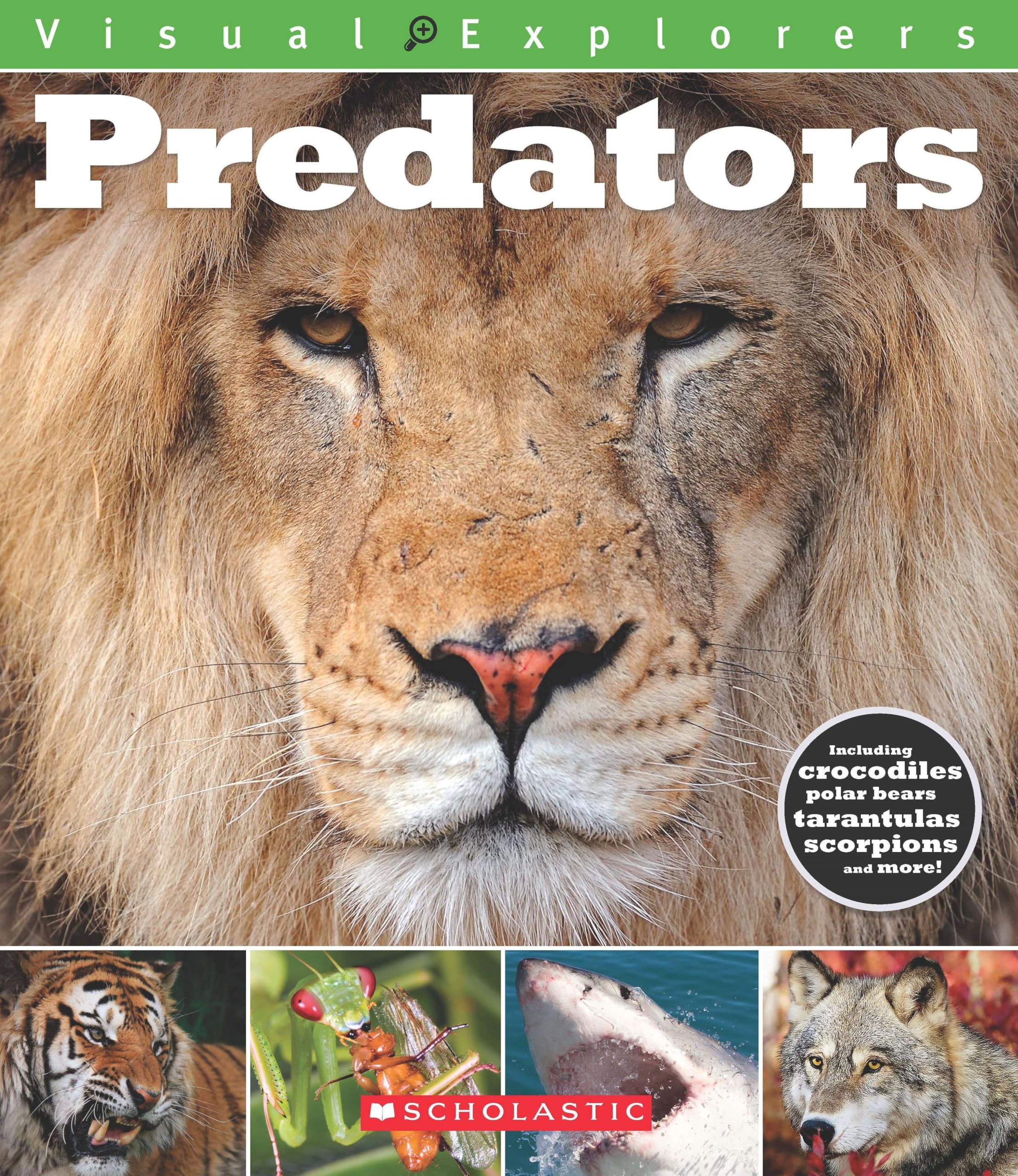 Visual Explorers: Predators