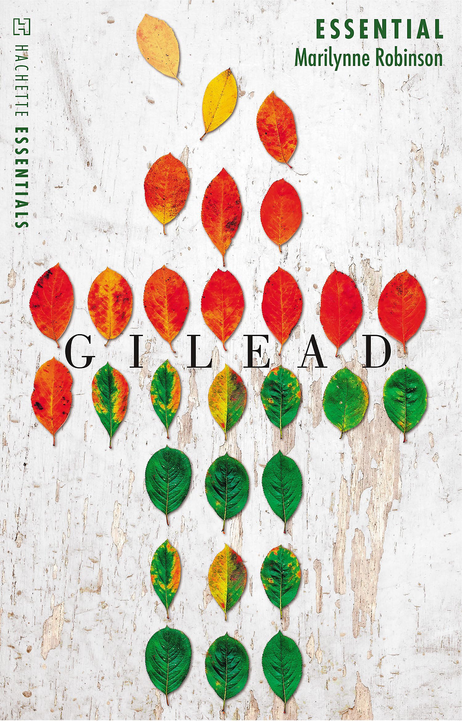 GILEAD (HACHETTE ESSENTIALS)
