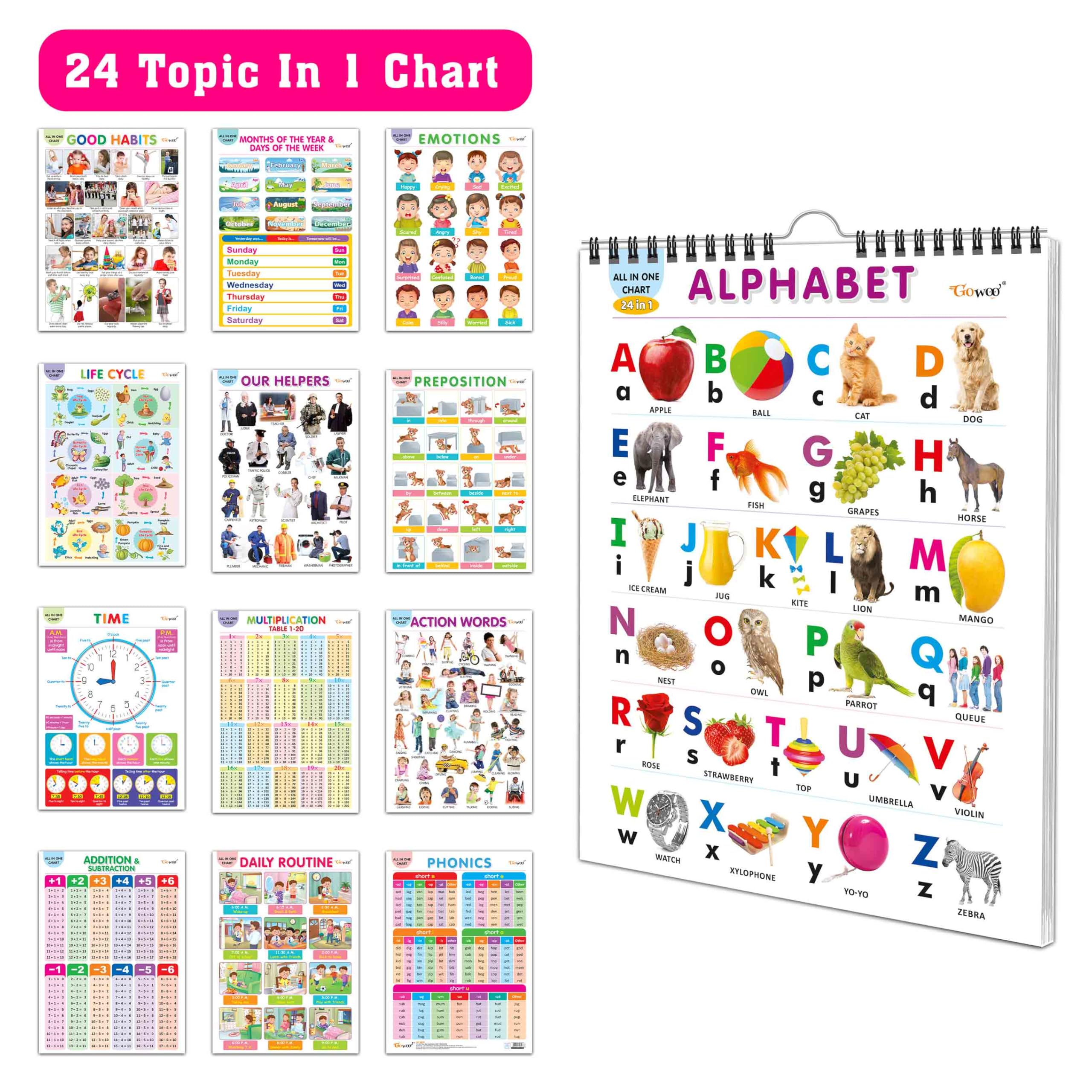 My First ALL IN ONE SPIRAL CHART : Early Learning Chart Book Collections, Chart Book With 24 Topics, gift for Kids