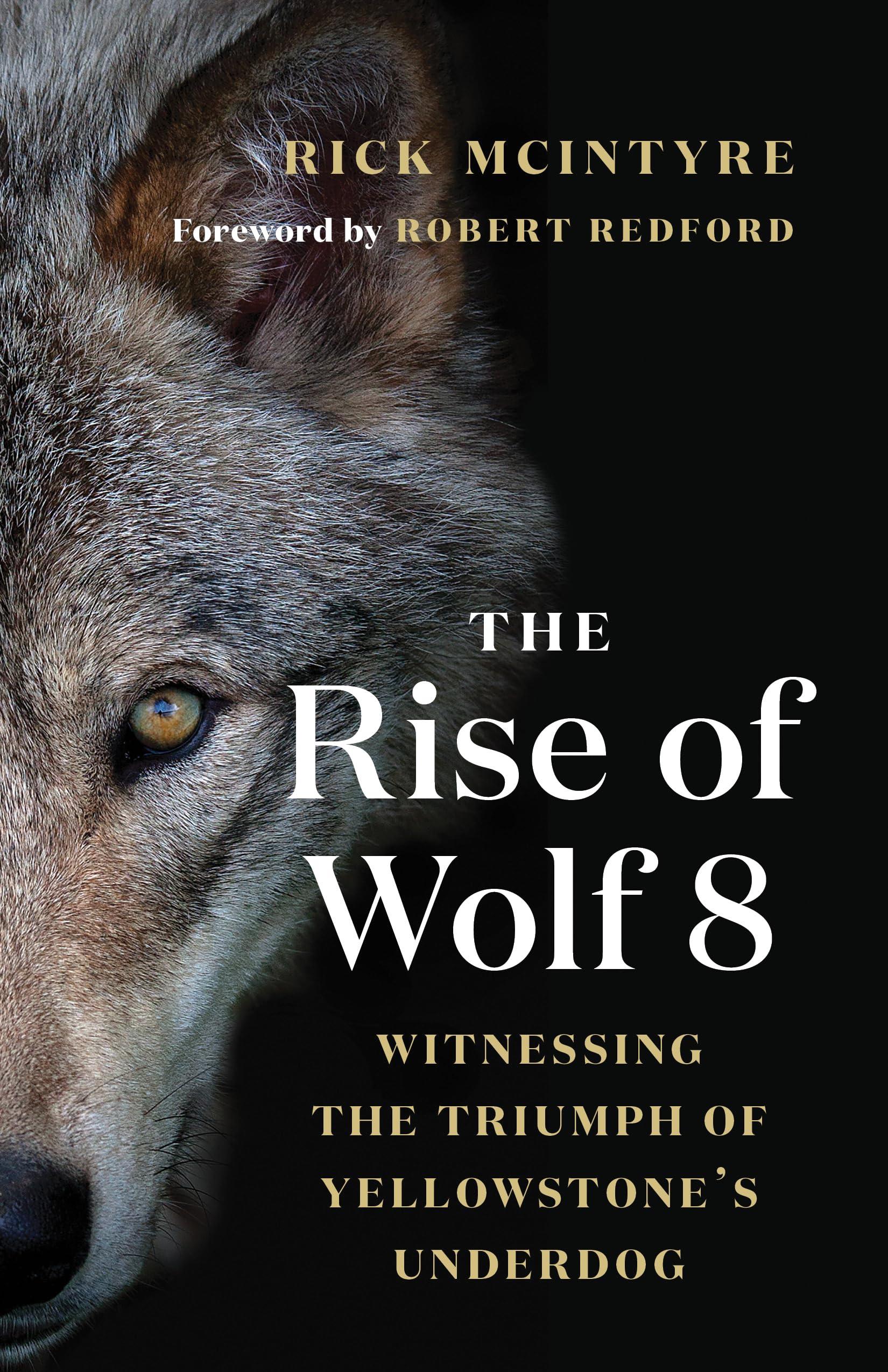 The Rise of Wolf 8: Witnessing the Triumph of Yellowstones Underdog (The Alpha Wolves of Yellowstone, 1)