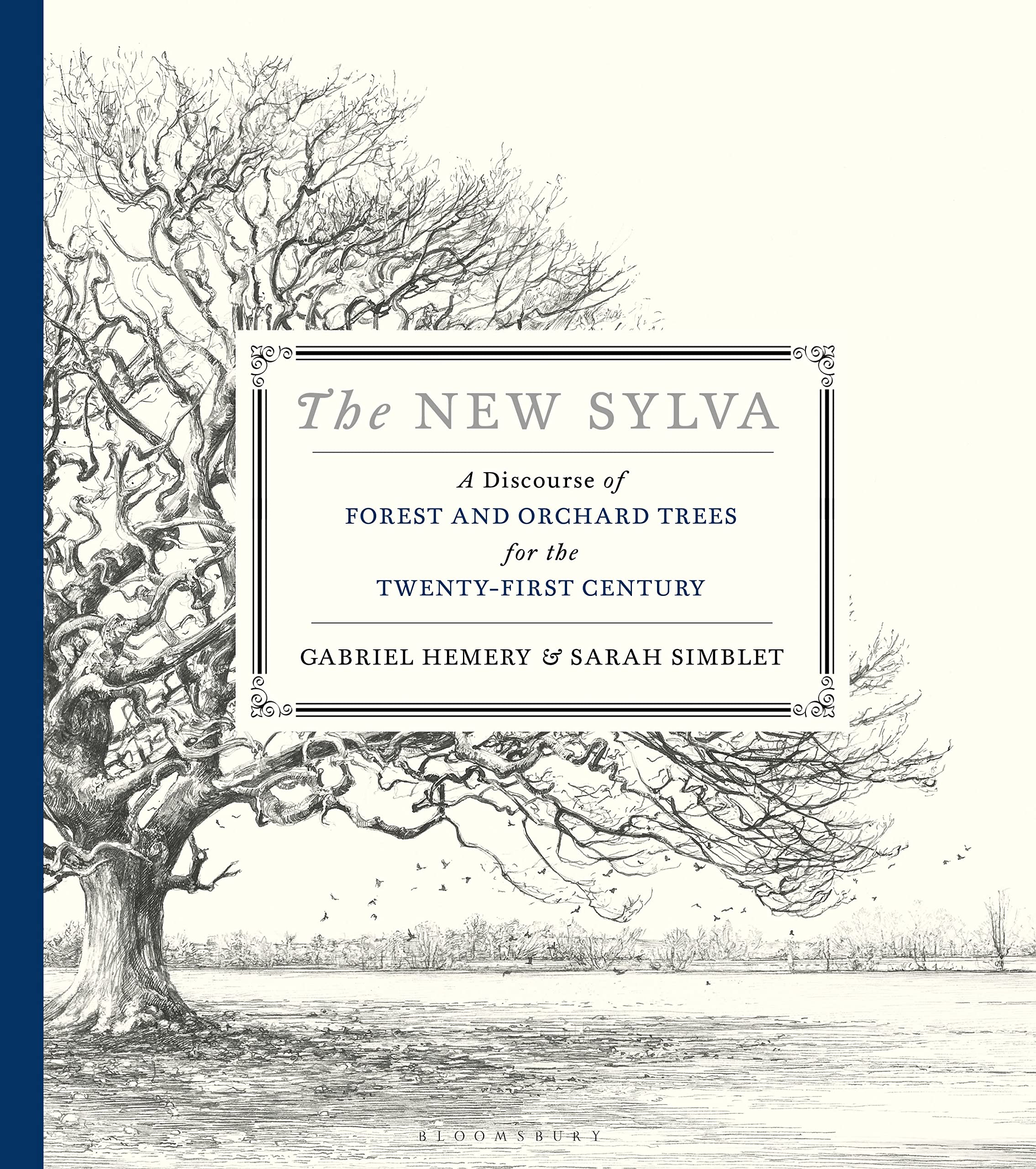 The New Sylva: A Discourse Of Forest And Orchard Trees For The TwentyFirst Century