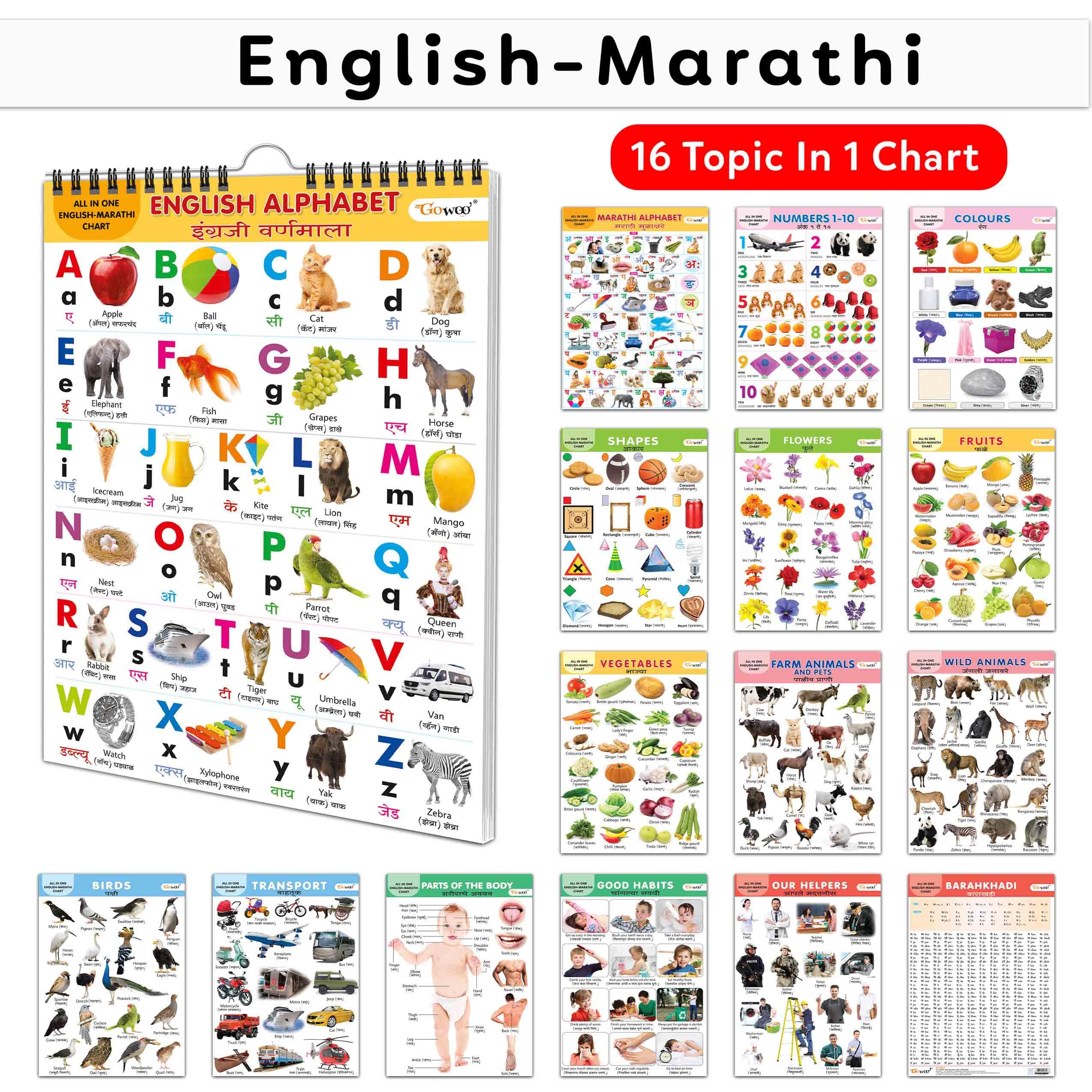 My First ALL IN ONE SPIRAL CHART ENGLISHMARATHI : Learning Chart book for kids, Educational Chart for toddlers, Collection With