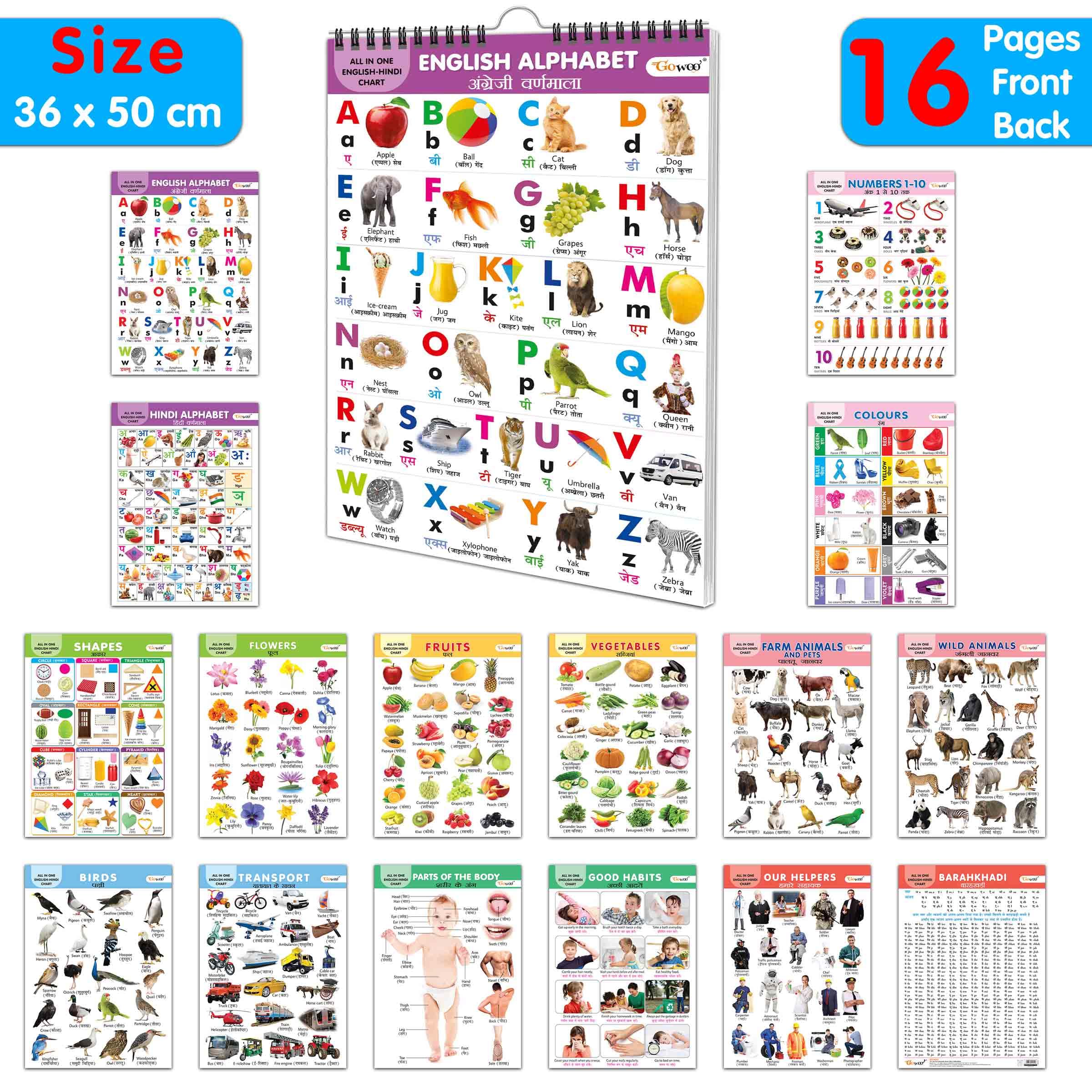Lkg Class Picture Chart : Chart For Children, All In One essential Chart, Gift For Kids My First ALL IN ONE SPIRAL CHART ENGLISH
