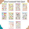 Early Childhood Education Wall Charts EnglishHindi : Alphabet, Fruits, Vegetables, Animals, Body Parts and More (Pack of 10) Gl