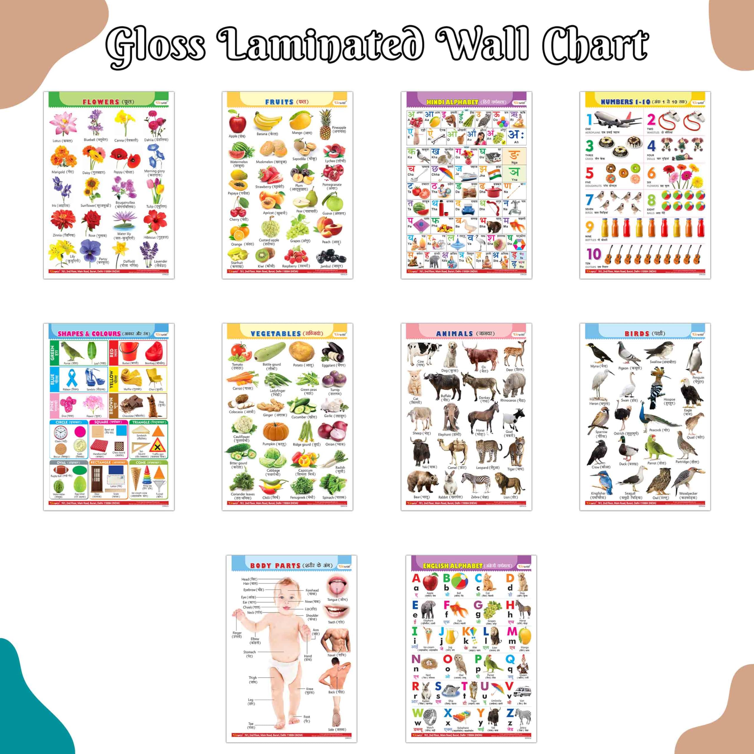 Early Childhood Education Wall Charts EnglishHindi : Alphabet, Fruits, Vegetables, Animals, Body Parts and More (Pack of 10) Gl