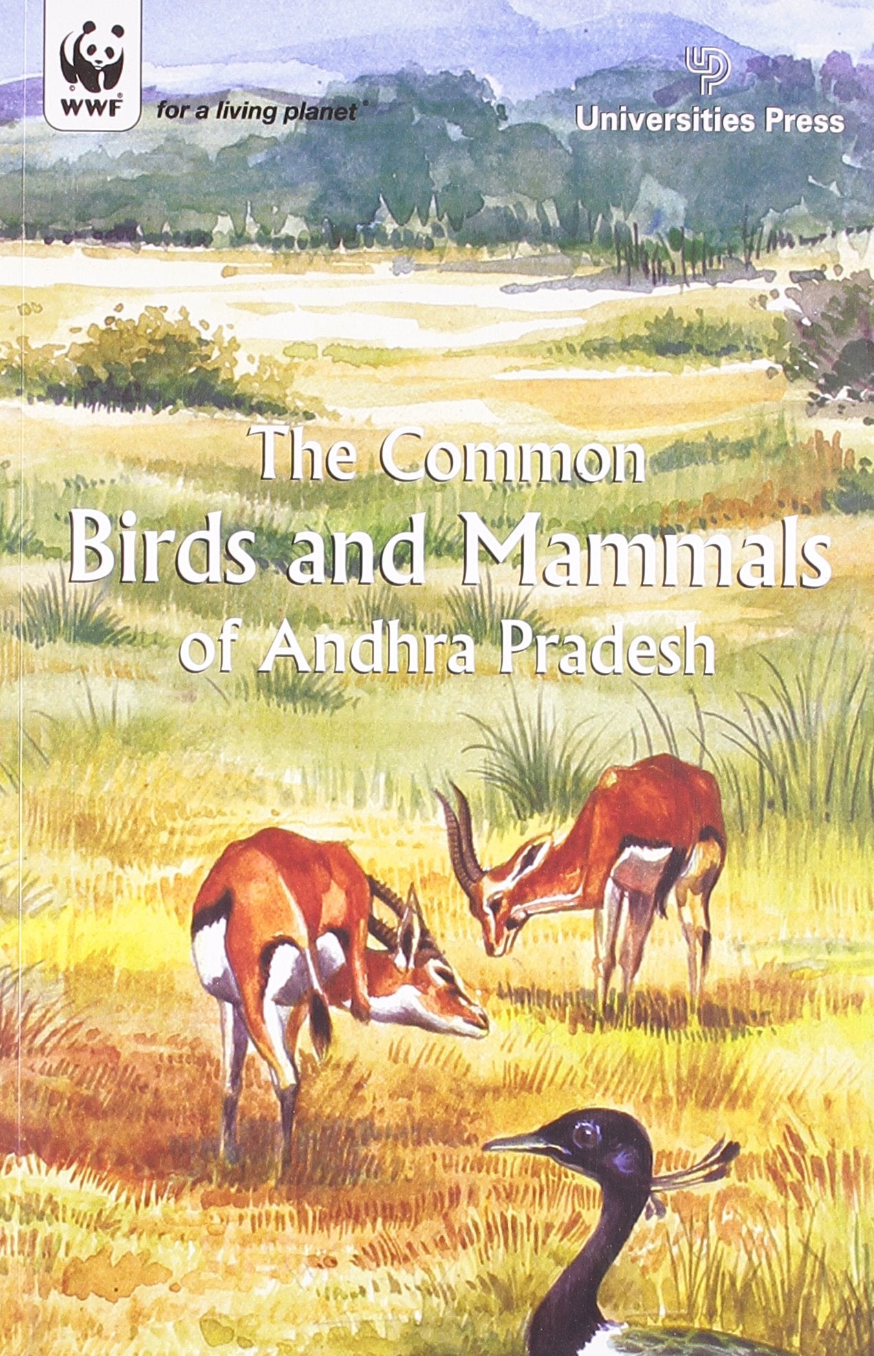 COMMON BIRDS AND MAMMALS OF AP
