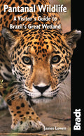 Pantanal Wildlife: A Visitors Guide To Brazils Great Wetland (Bradt Wildlife Explorer)