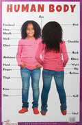 Human Body  Thick Laminated Preschool Chart