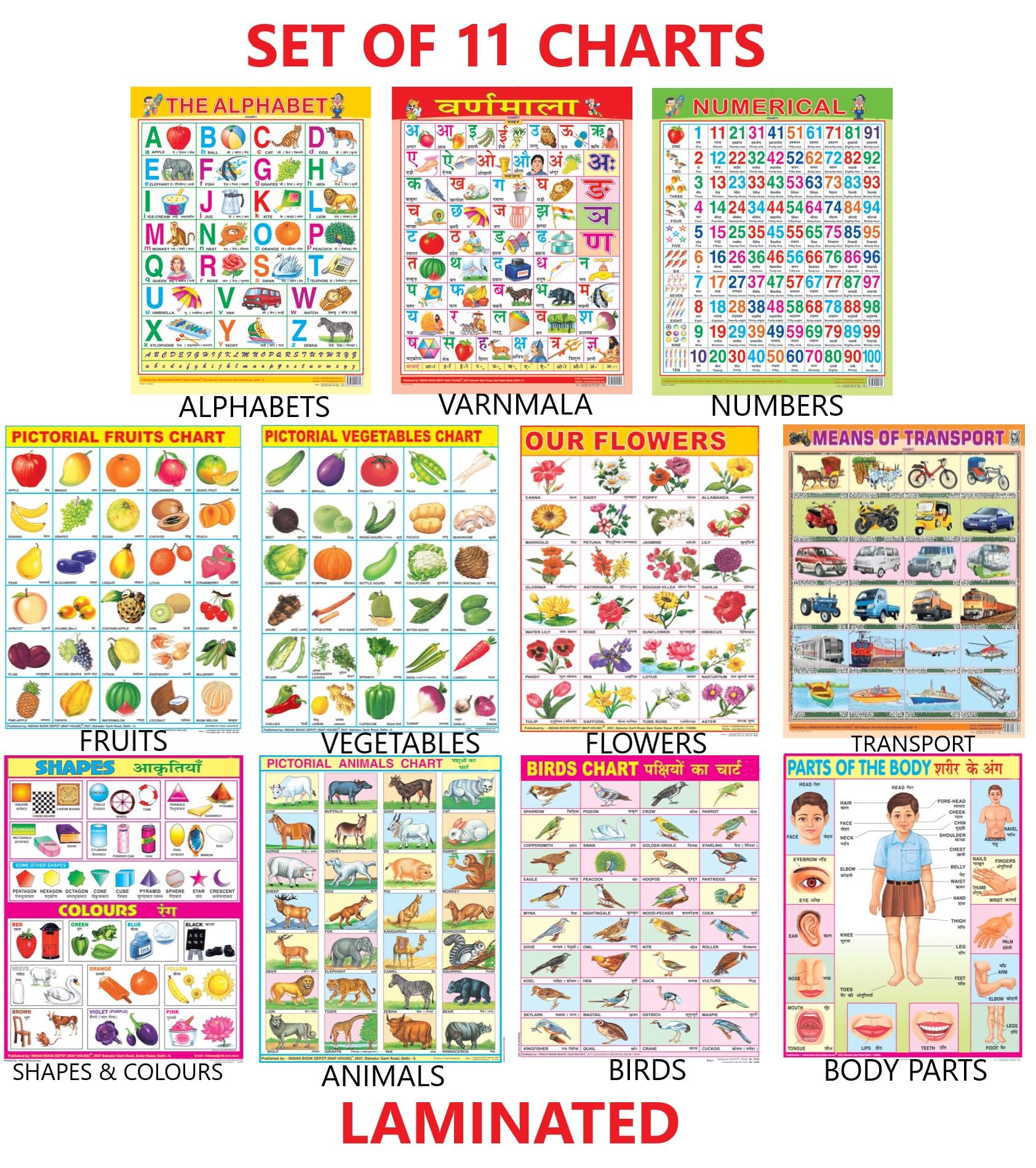 Early Learning Educational Charts Set For Kids|Set Of 11|NonTearable & Waterproof|Double Sided Laminated|Billingual Charts In E