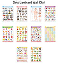 Educational Gloss Lamination wall charts : Alphabet, Fruits, Vegetables, Animals, Body Parts, Numbers, Multiplication, Hindi Var