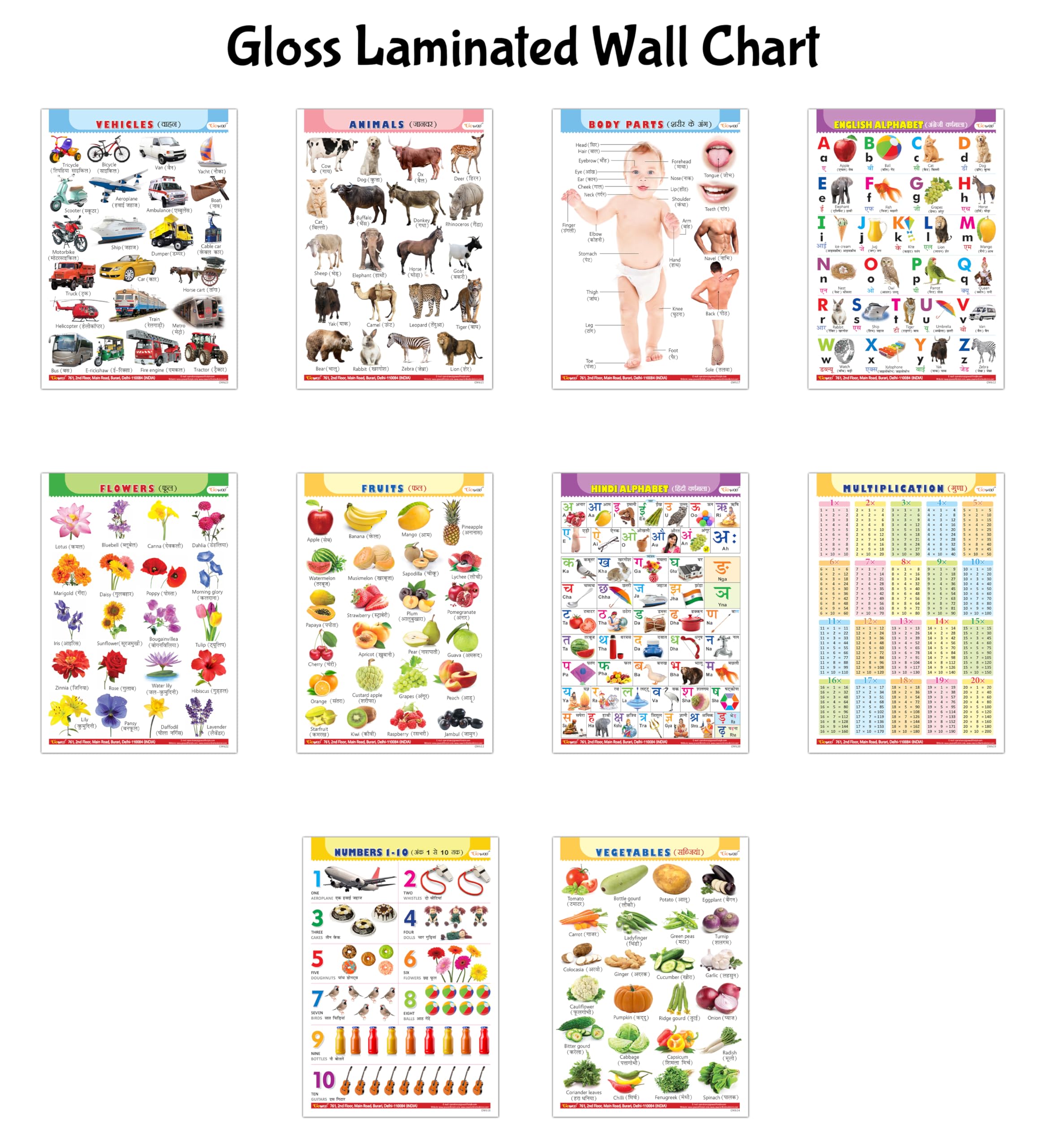 Educational Gloss Lamination wall charts : Alphabet, Fruits, Vegetables, Animals, Body Parts, Numbers, Multiplication, Hindi Var