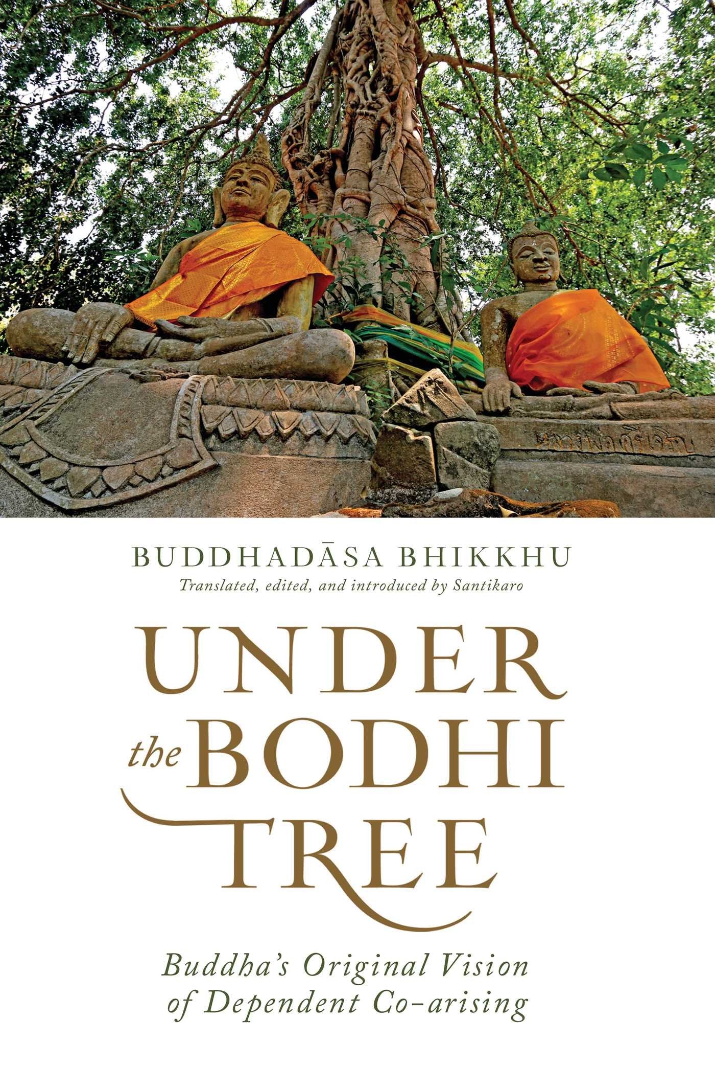 Under the Bodhi Tree: Buddhas Original Vision of Dependent Coarising