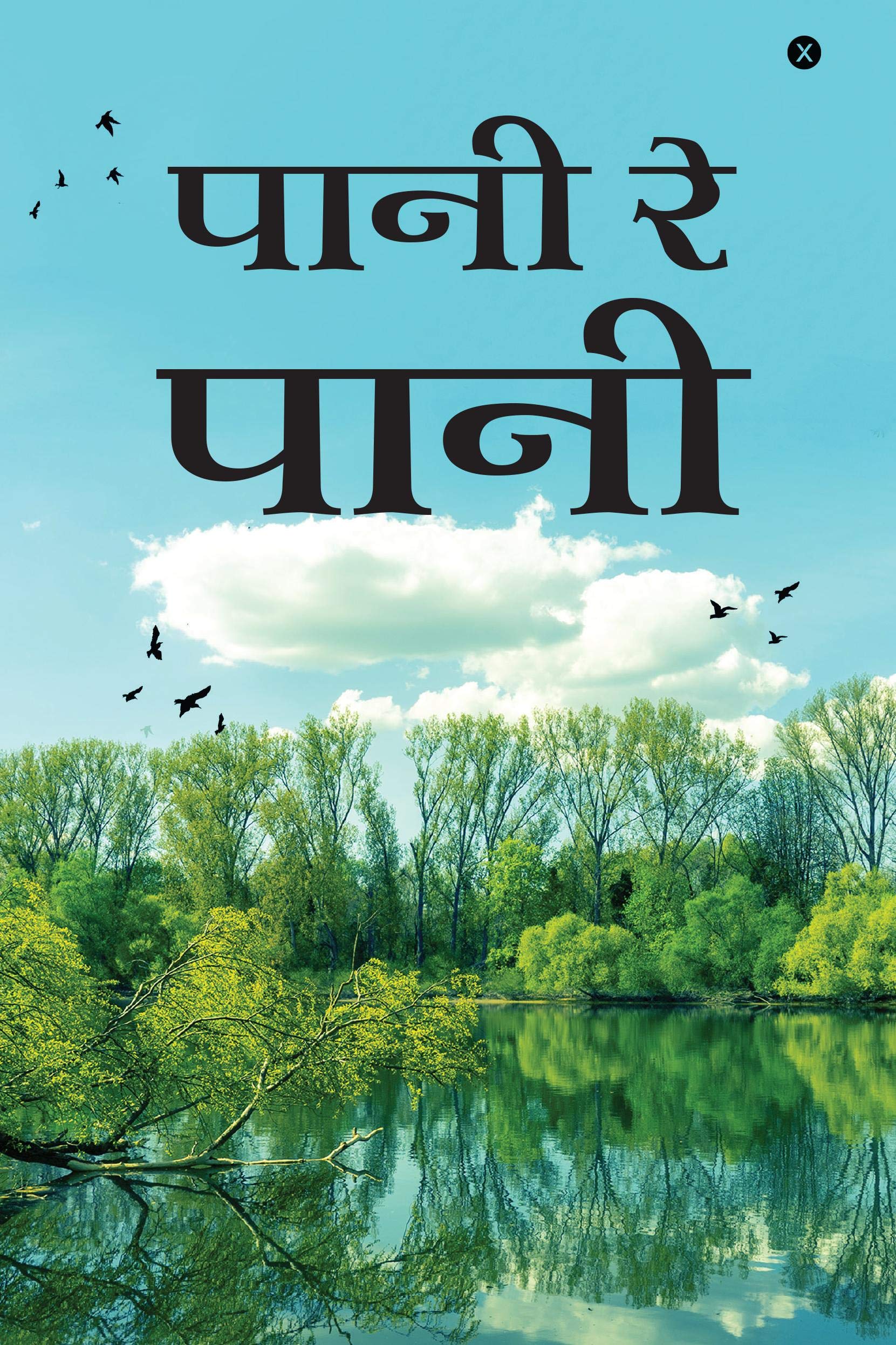 Paani Re Paani /   