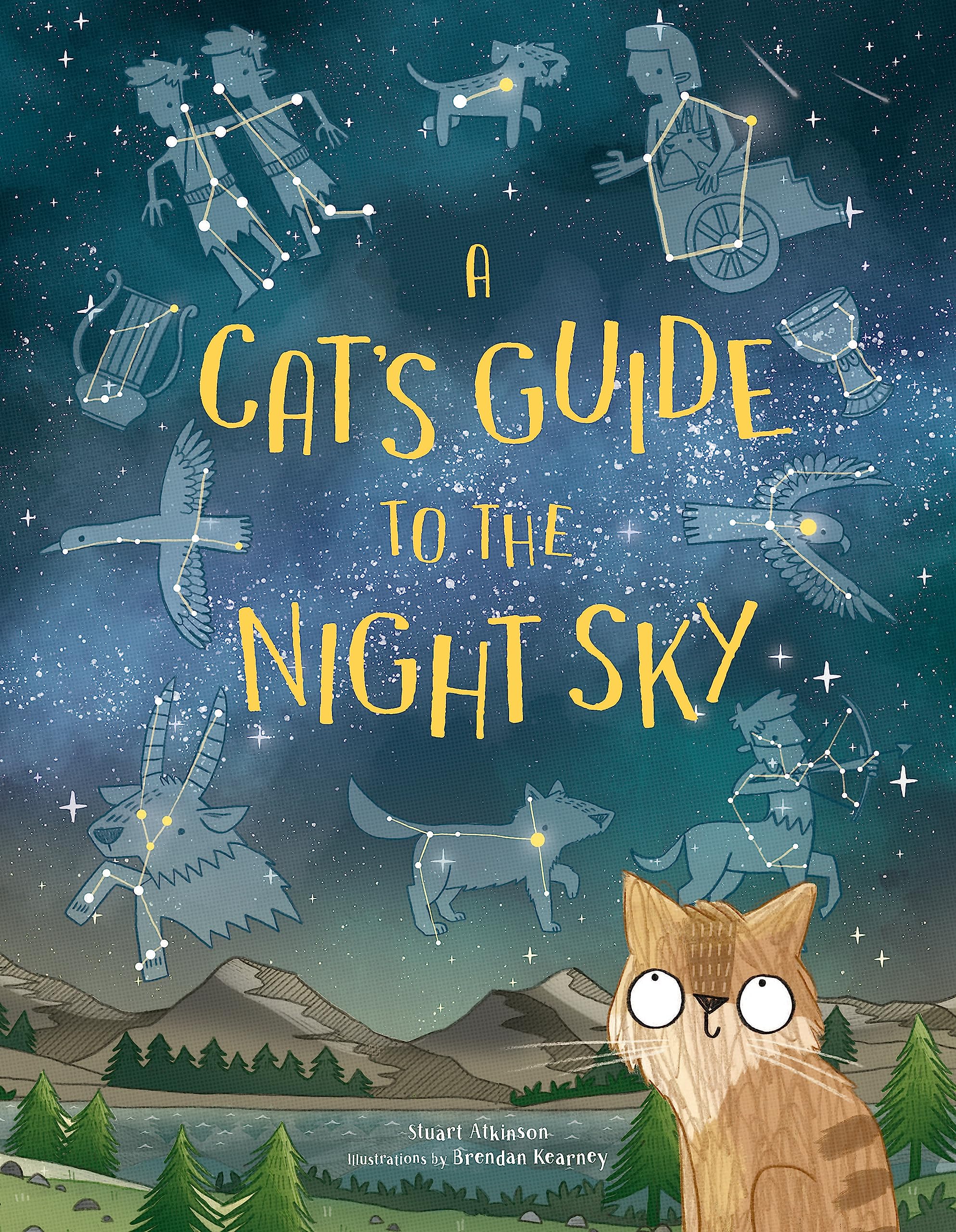 A Cats Guide to the Night Sky (paperback) /anglais
