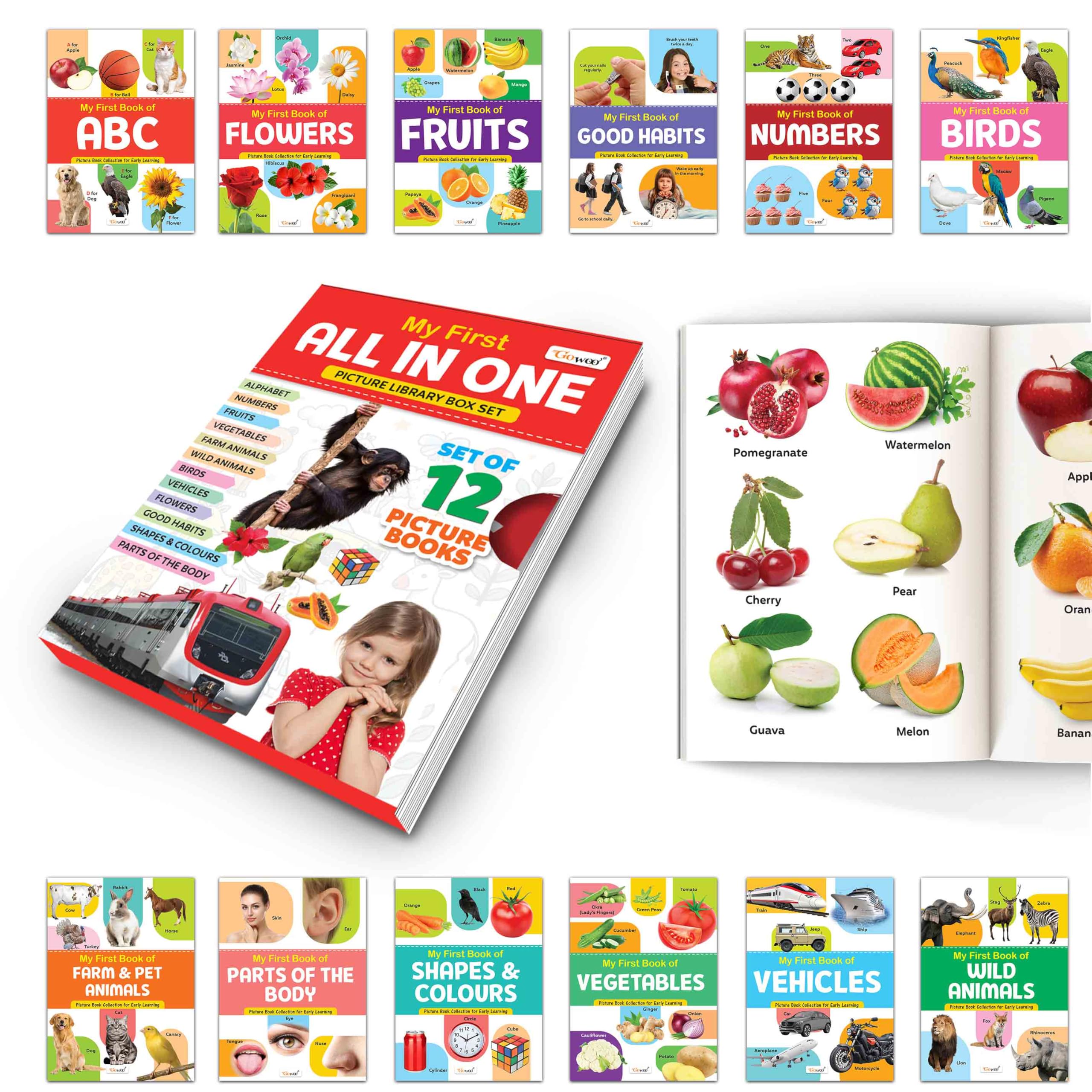 Essential Book Of All In One Box Set(Red Edition) : My First All in One Picture Library Box, Educational picture books for toddl