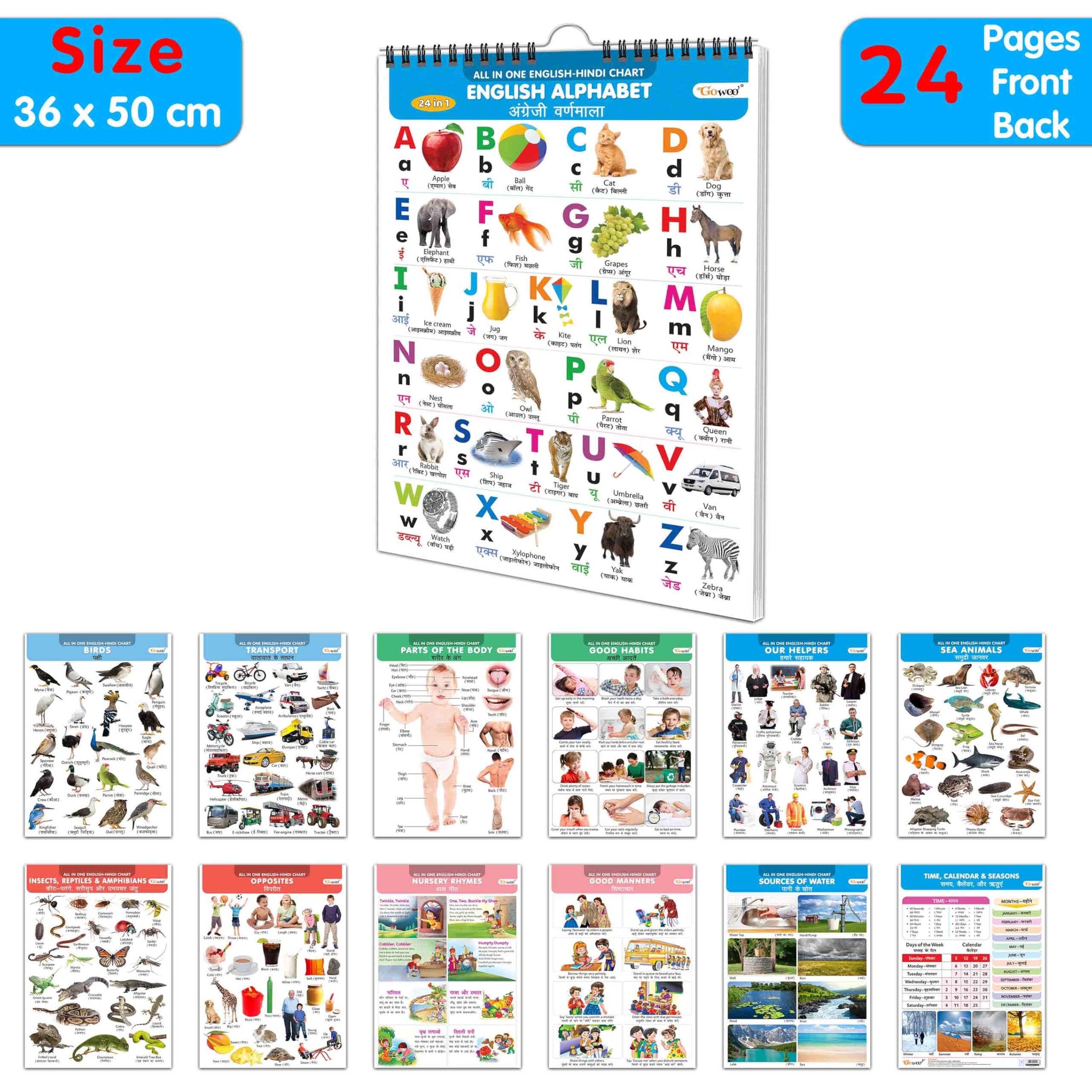 My First ALL IN ONE SPIRAL CHART (ENGLISHHINDI) : Chart For Children, Learning Chart For Kids, Early learning Chart With 24 Top