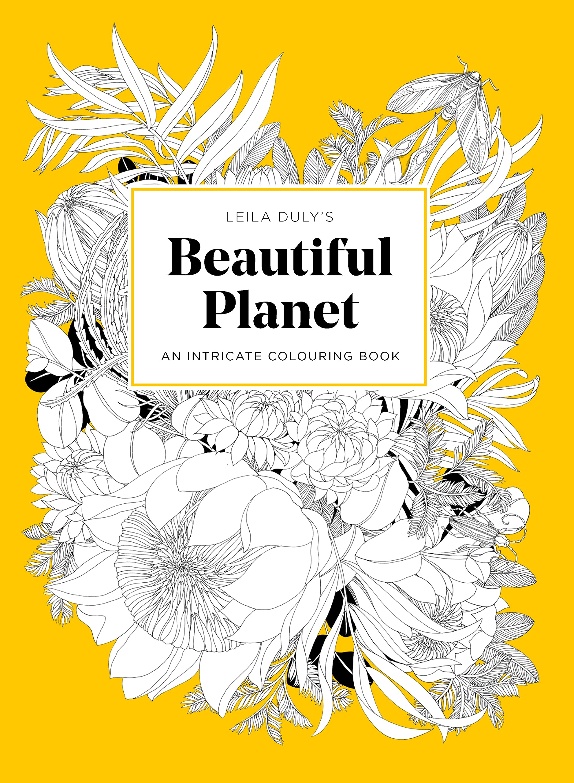 Leila Dulys Beautiful Planet: An Intricate Colouring Book