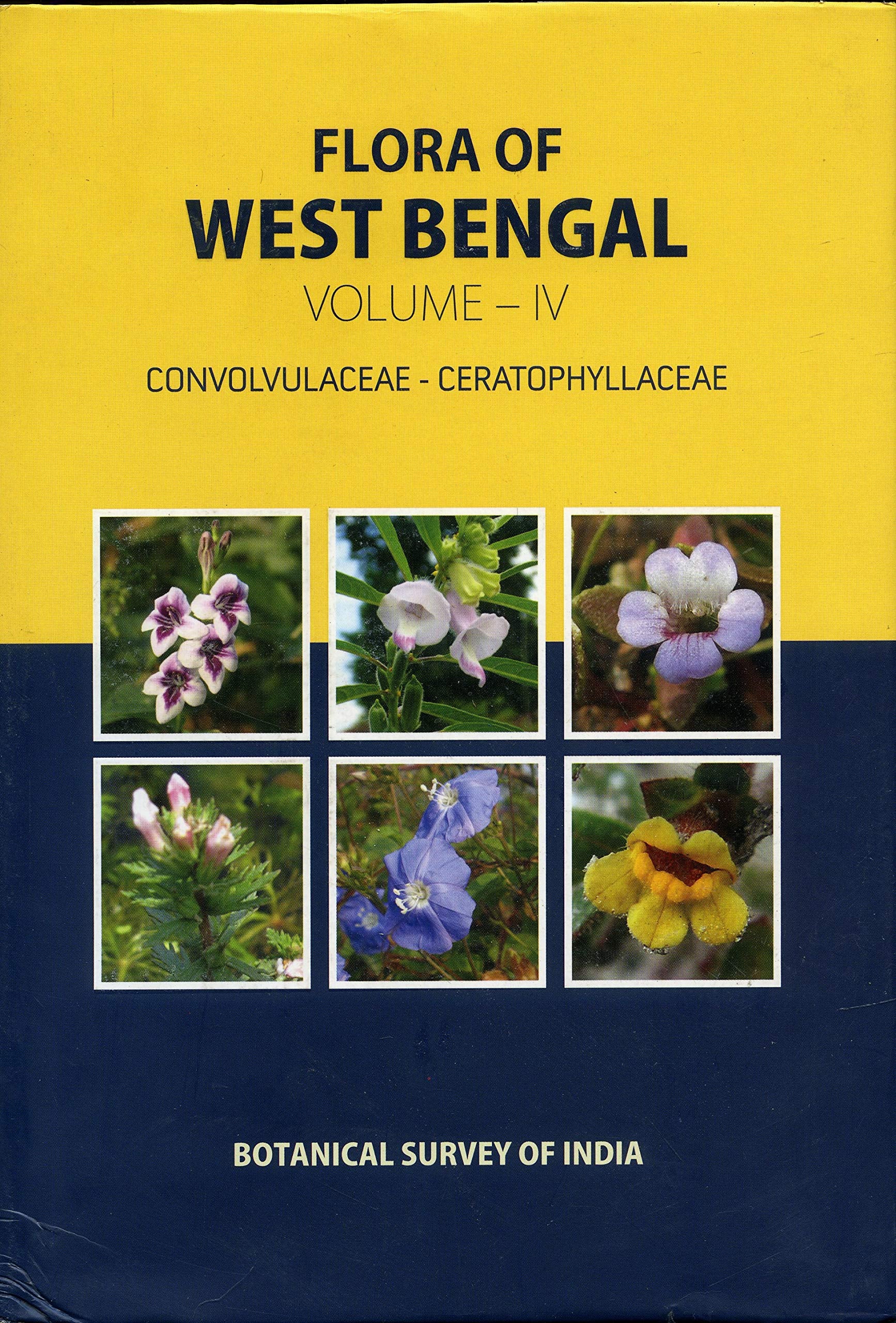 Flora of West Bengal: ConvolvulaceaeCeratophyllaceae Vol4