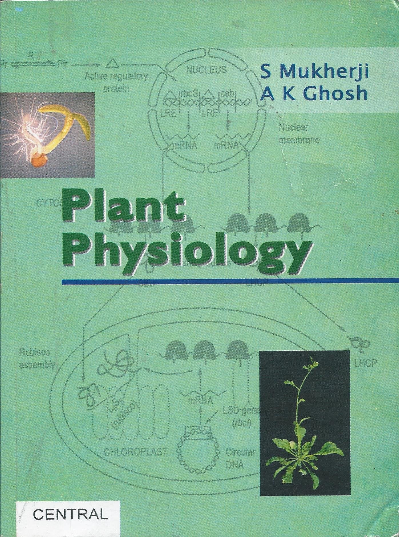 Plant Physiology