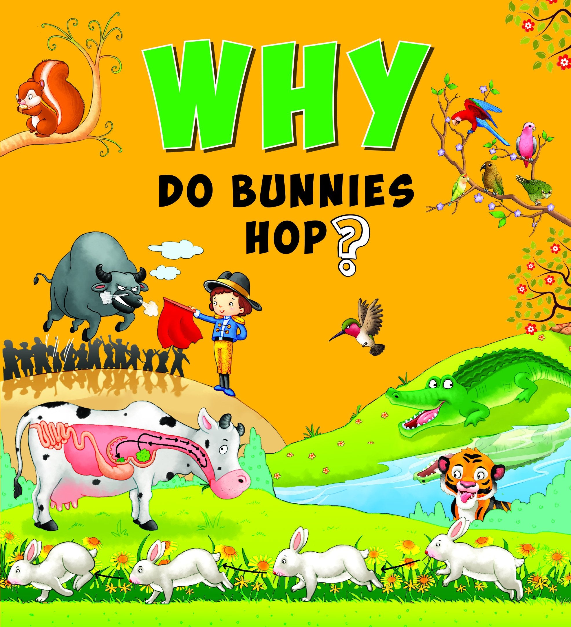 SQUARE BOOK: WHY DO BUNNIES HOP