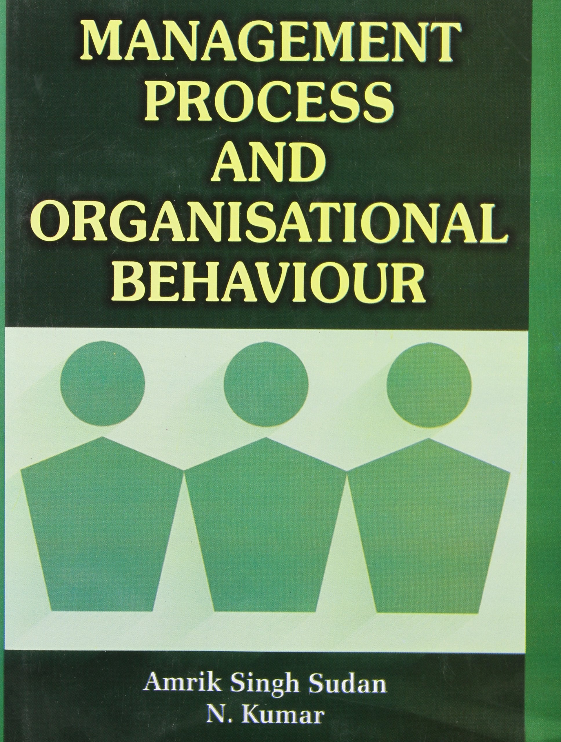 Management Process and Organisational Behaviour