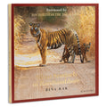 Silent Sentinels of Ranthambhore