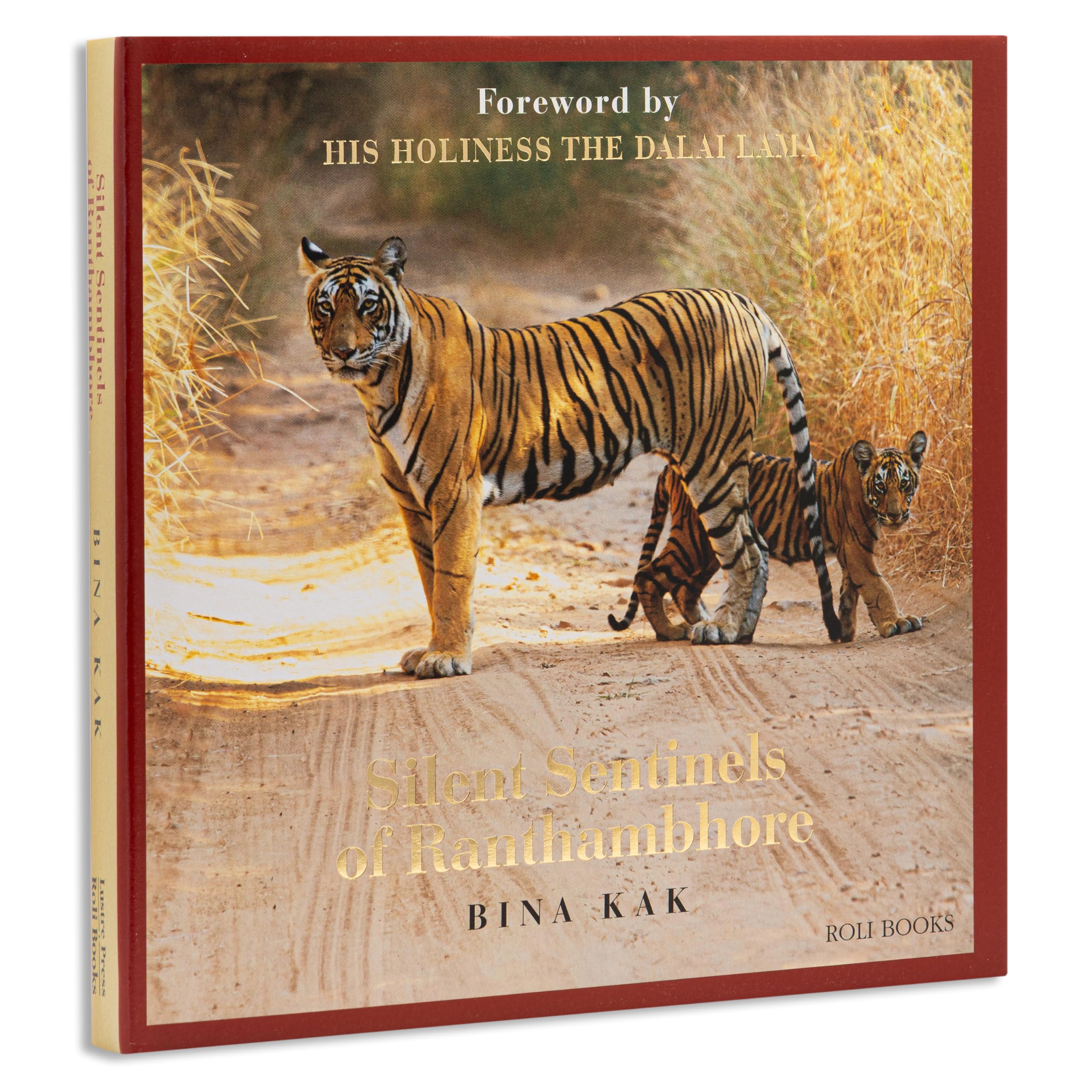 Silent Sentinels of Ranthambhore