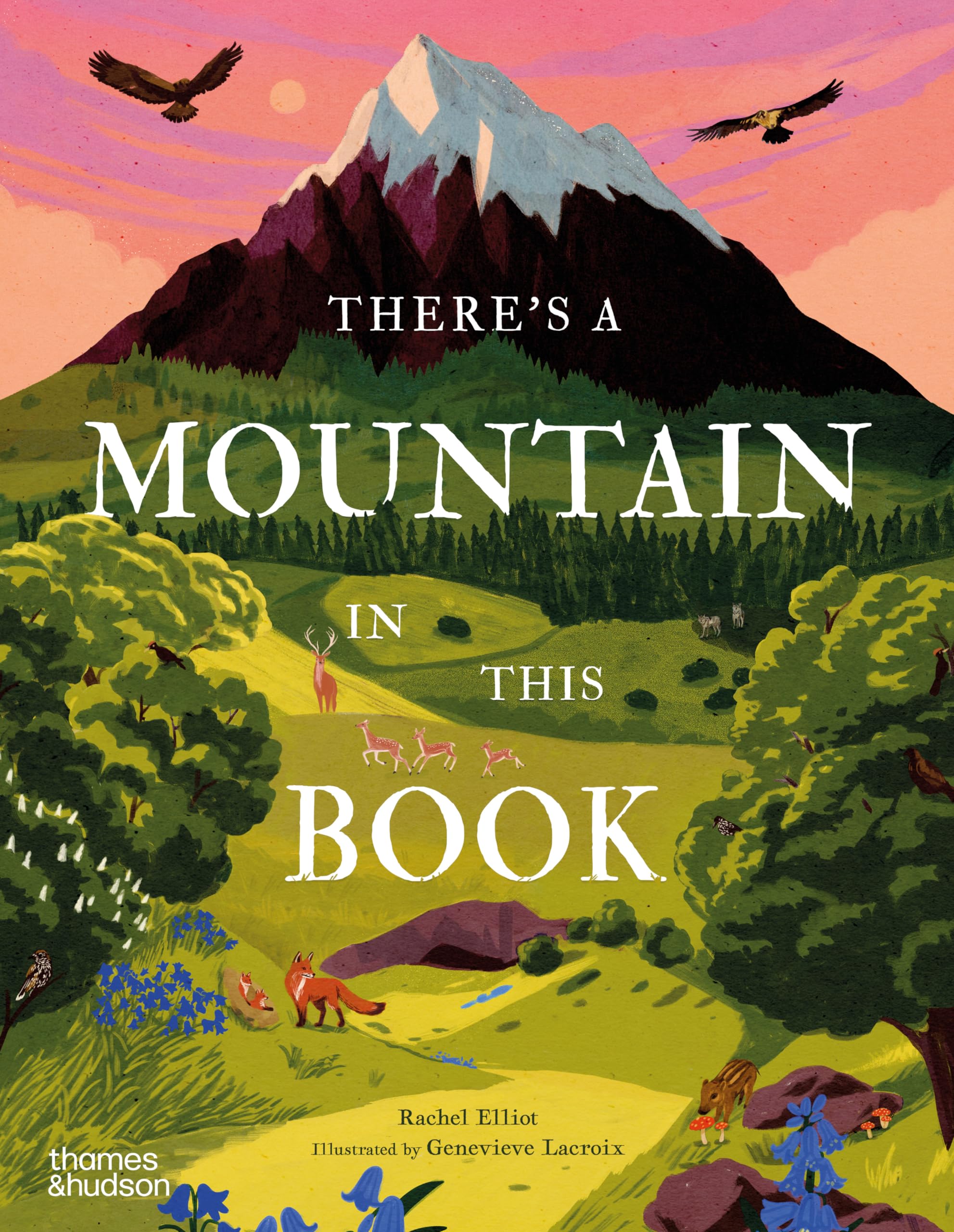 Theres a Mountain in This Book (Young Explorers, 1)