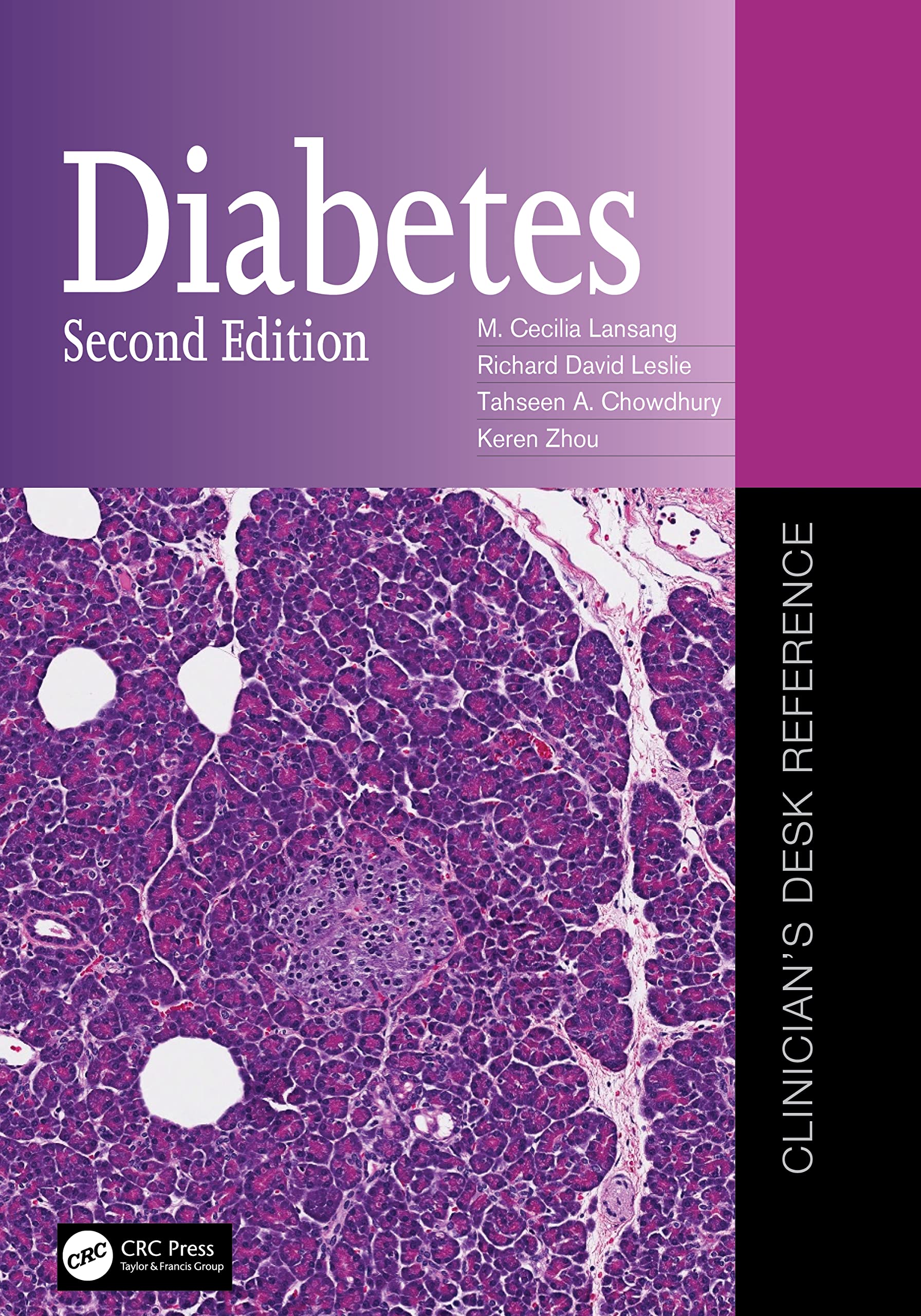 Diabetes Clinicians Desk Reference 2Ed (Pb 2023)