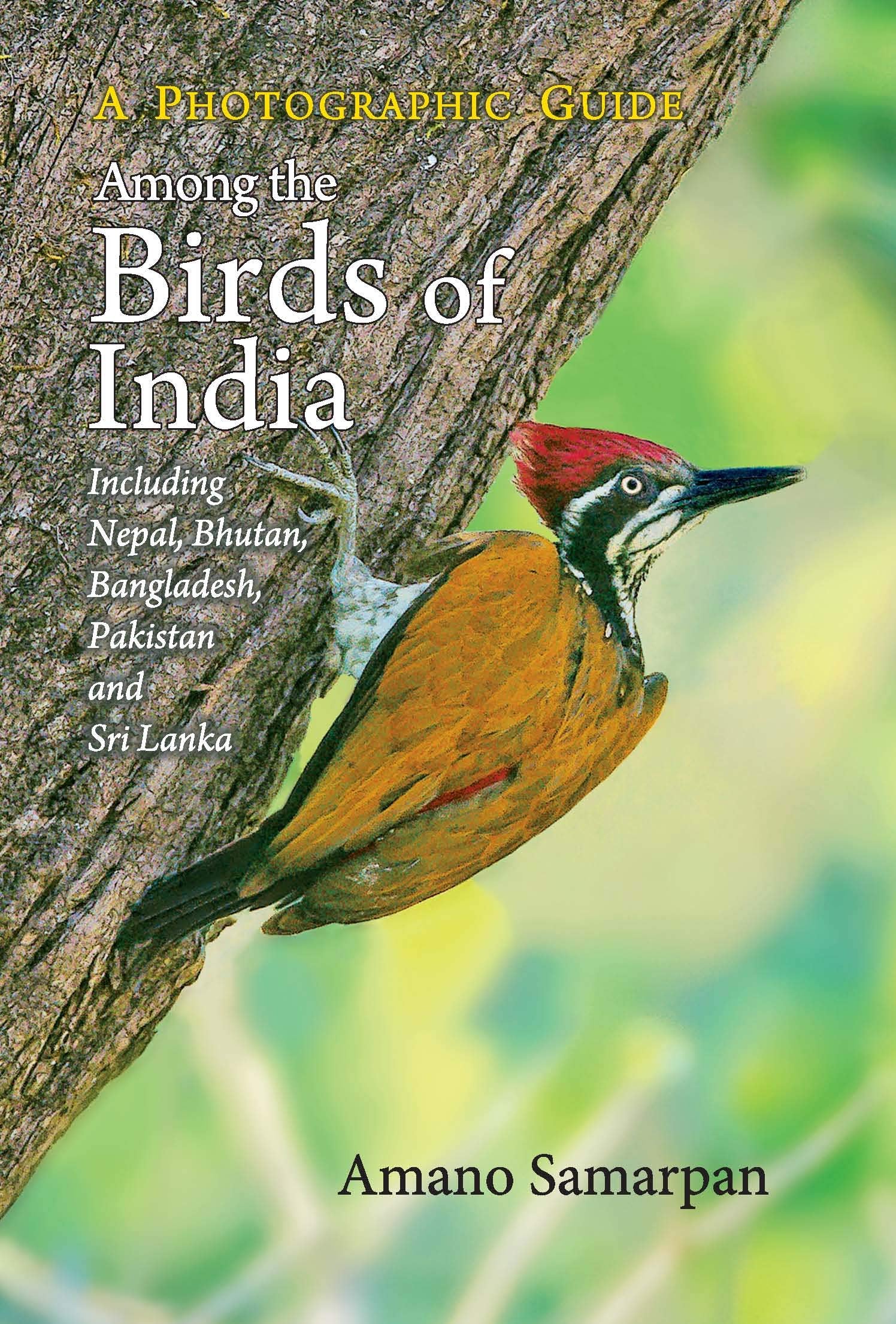 Among the Birds of India: A Photographic Guide (Including Nepal, Bhutan, bangladesh, Pakistan and Sri Lanka)