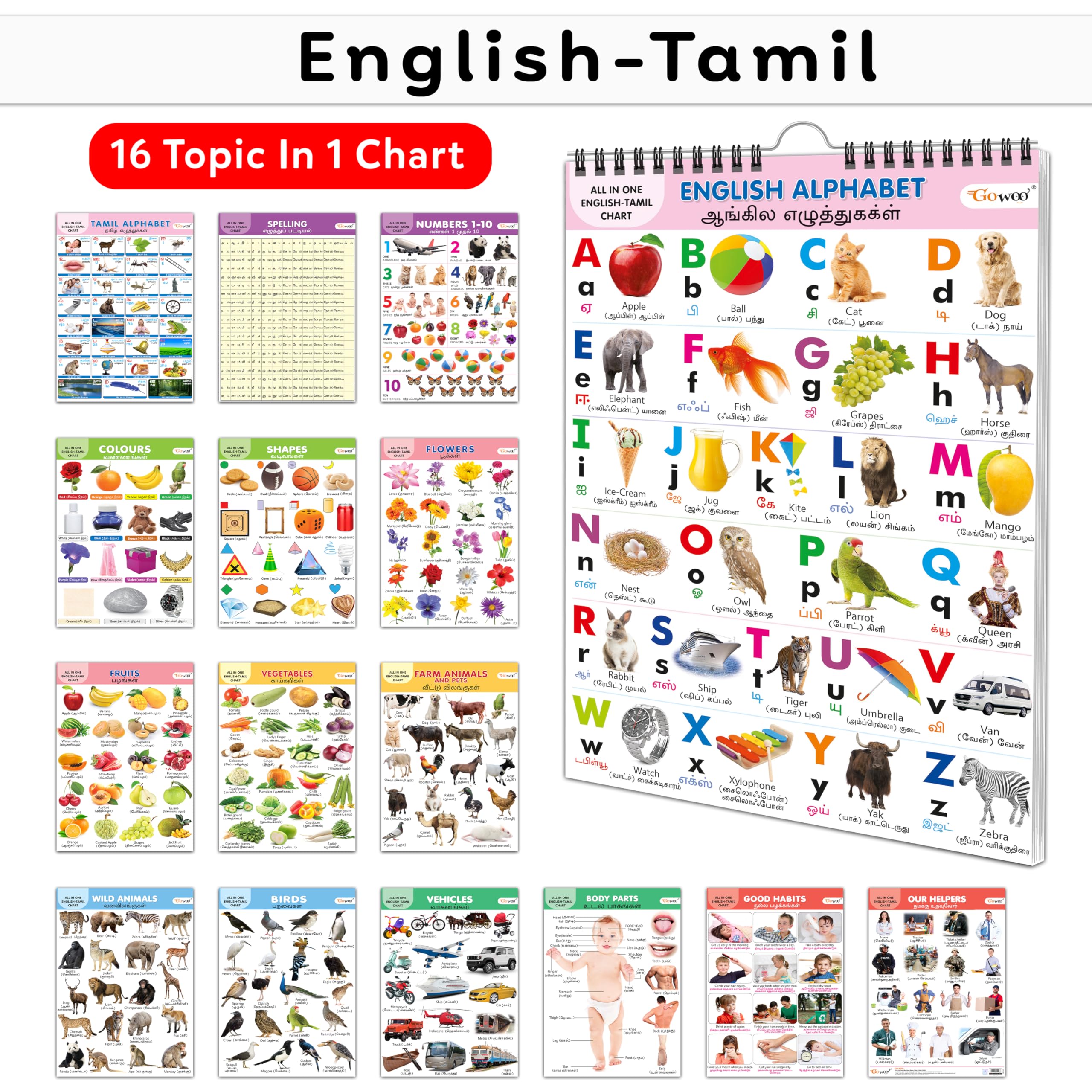 My First ALL IN ONE SPIRAL CHART ENGLISHTAMIL : Kids first little library, Chart for kids, Early learning Chart, Picture Chart 