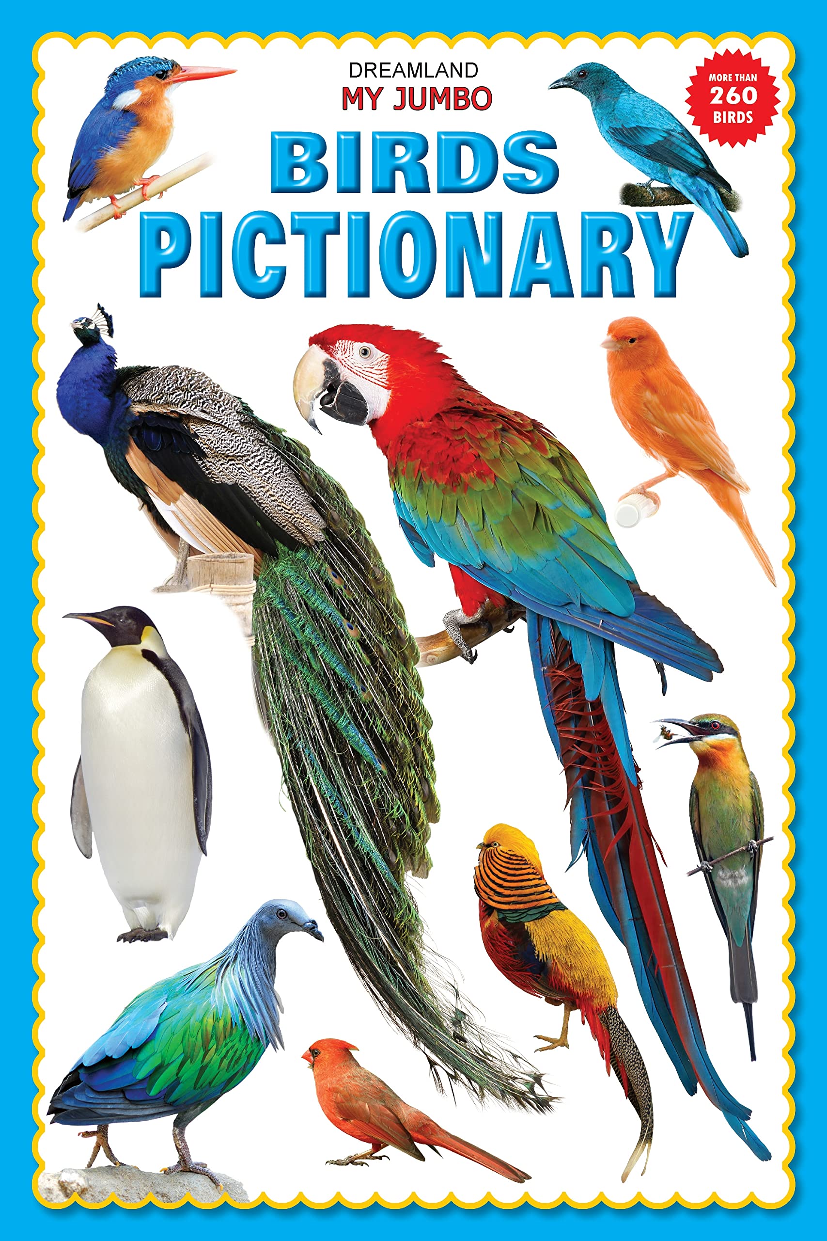 My Jumbo Birds Pictionary  A3 Size Picture Book For Kids Age 35 | Learn Bird Names With Colourful Illustrations & Big Alphabet